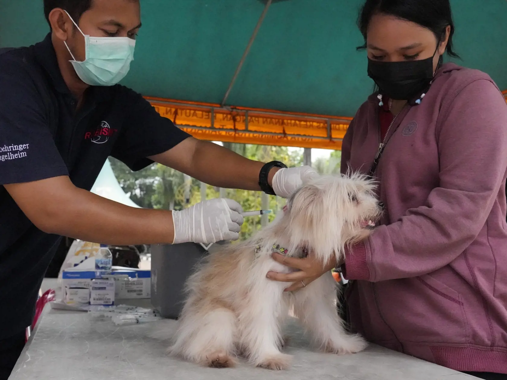 KK14 Jakarta - Na snímke pes počas očkovania proti besnote v rámci Svetového dňa boja proti besnote 28. septembra 2022 v Jakarte. FOTO TARS/AP
An official gives the rabies vaccine to a dog during a world rabies day campaign in Jakarta, Indonesia, Wednesday, Sept. 28, 2022. (AP Photo/Achmad Ibrahim)
