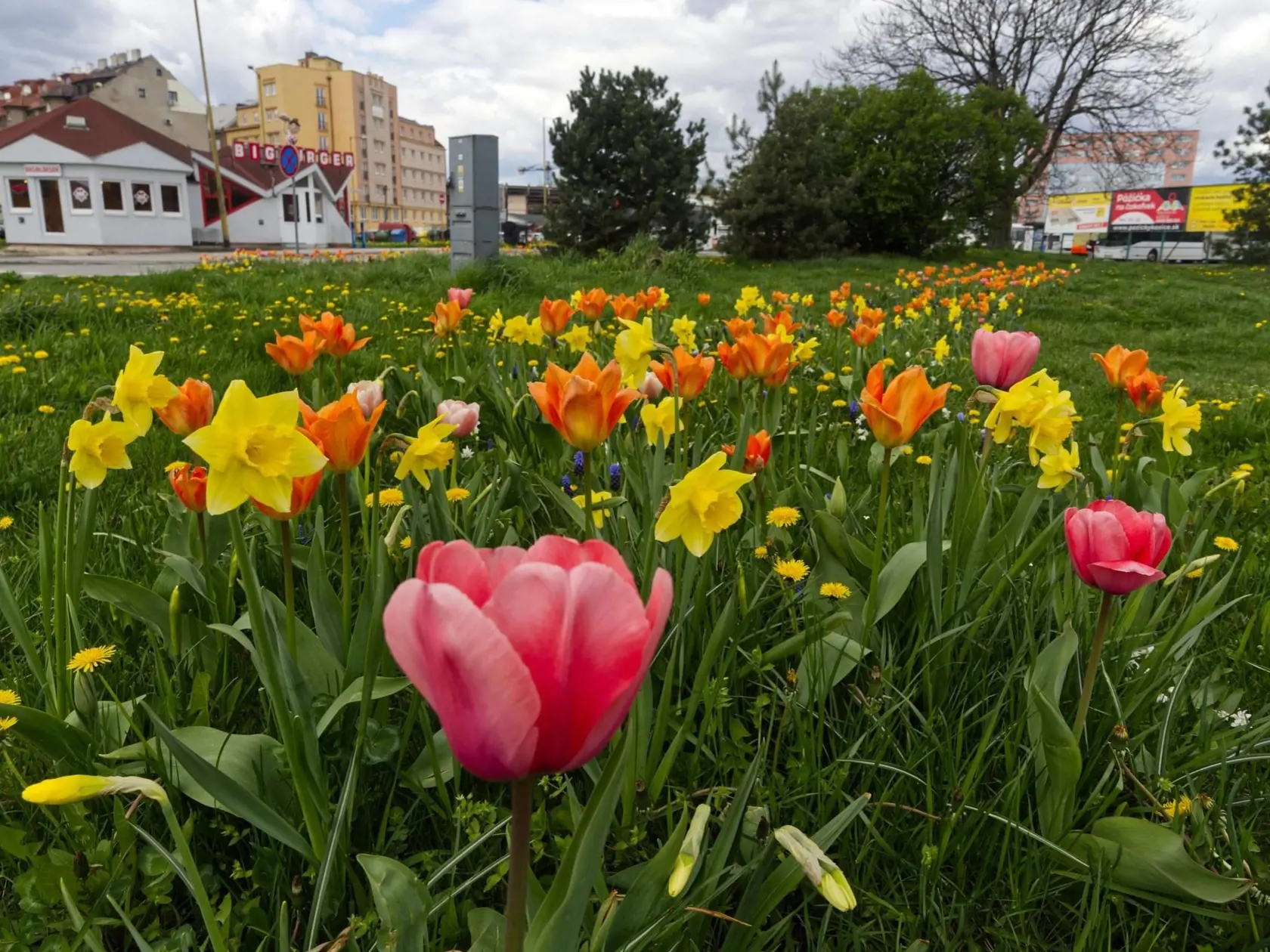 Jar v metropole východu - Košiciach.