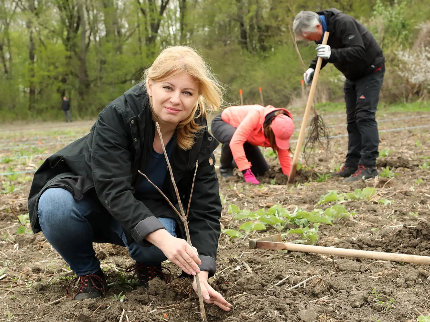 Prezidentka Zuzana Čaputová a jej spolupracovníci z prezidentskej kancelárie dnes vysadili viac ako 1 400 medonosných a rôznych listnatých stromov.