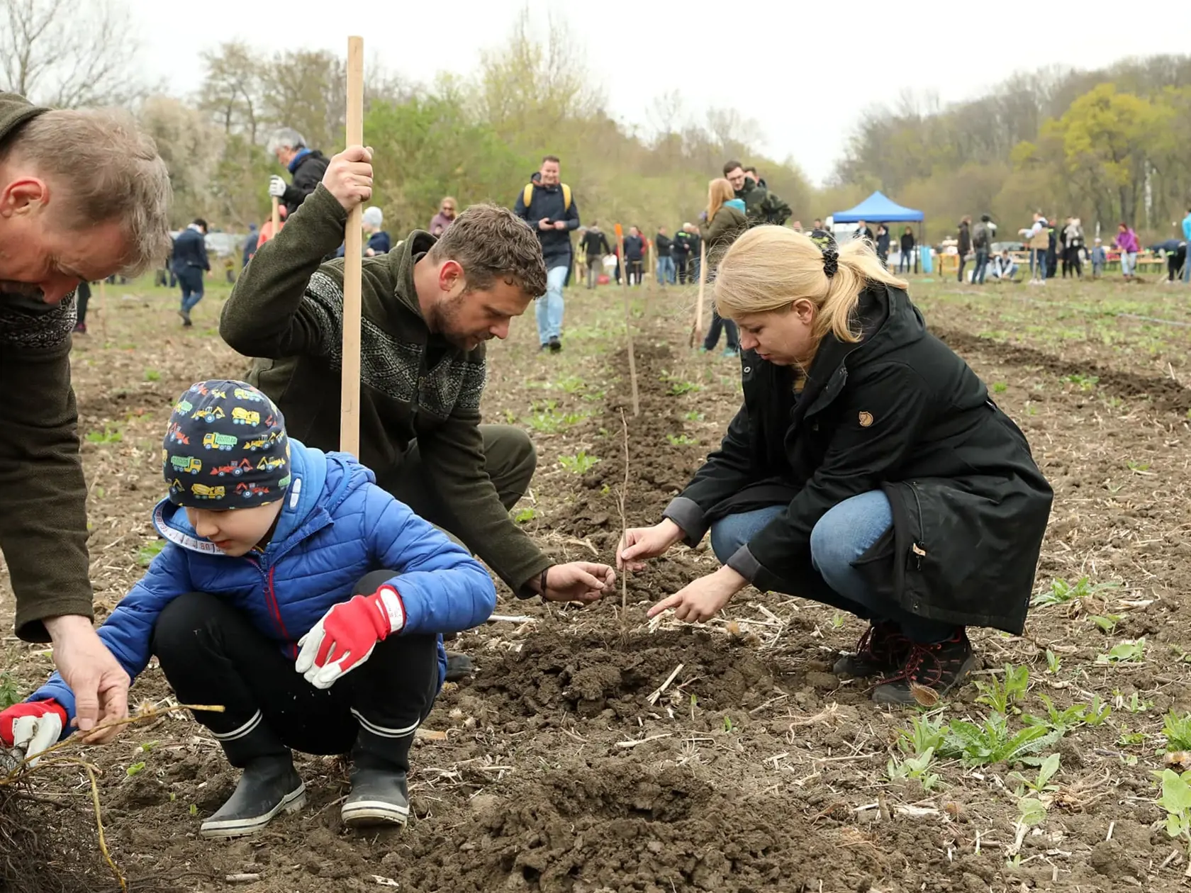 V rámci projektu Zelená kancelária sa takto usilujú o je znižovanie emisií, ktoré spôsobujú klimatickú zmenu.