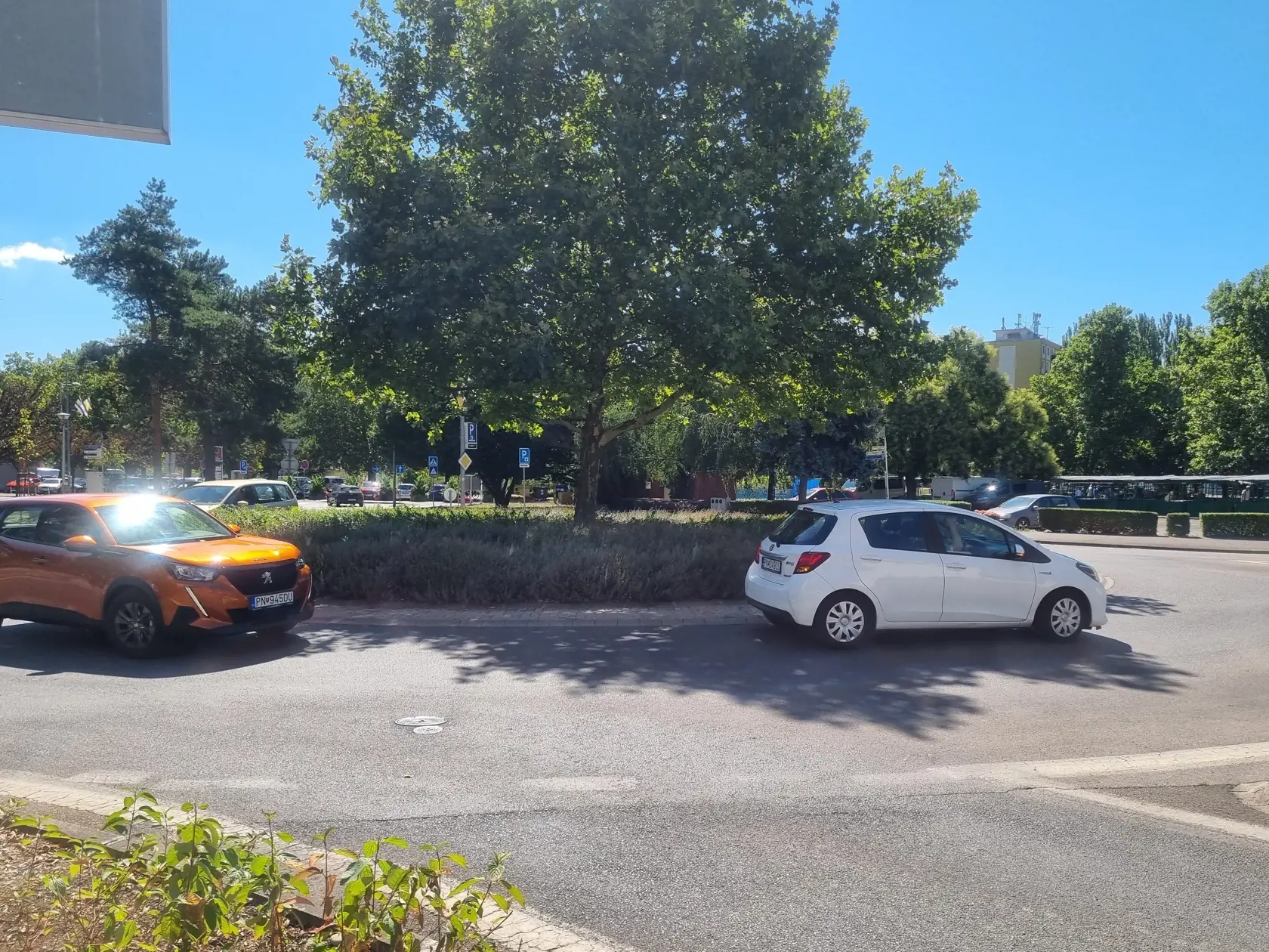 Incident sa stal pri jednom z piešťanských kruhových objazdov.