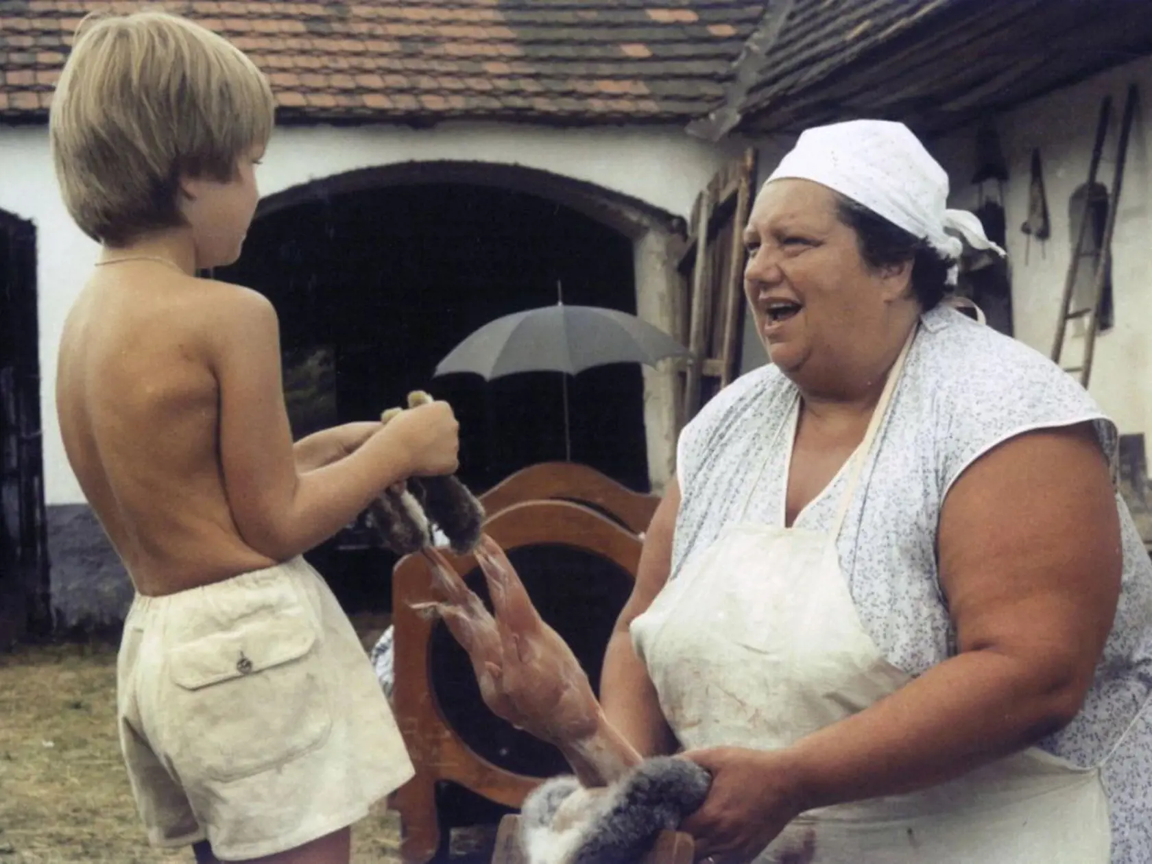 V známej trilógii Slunce, seno...