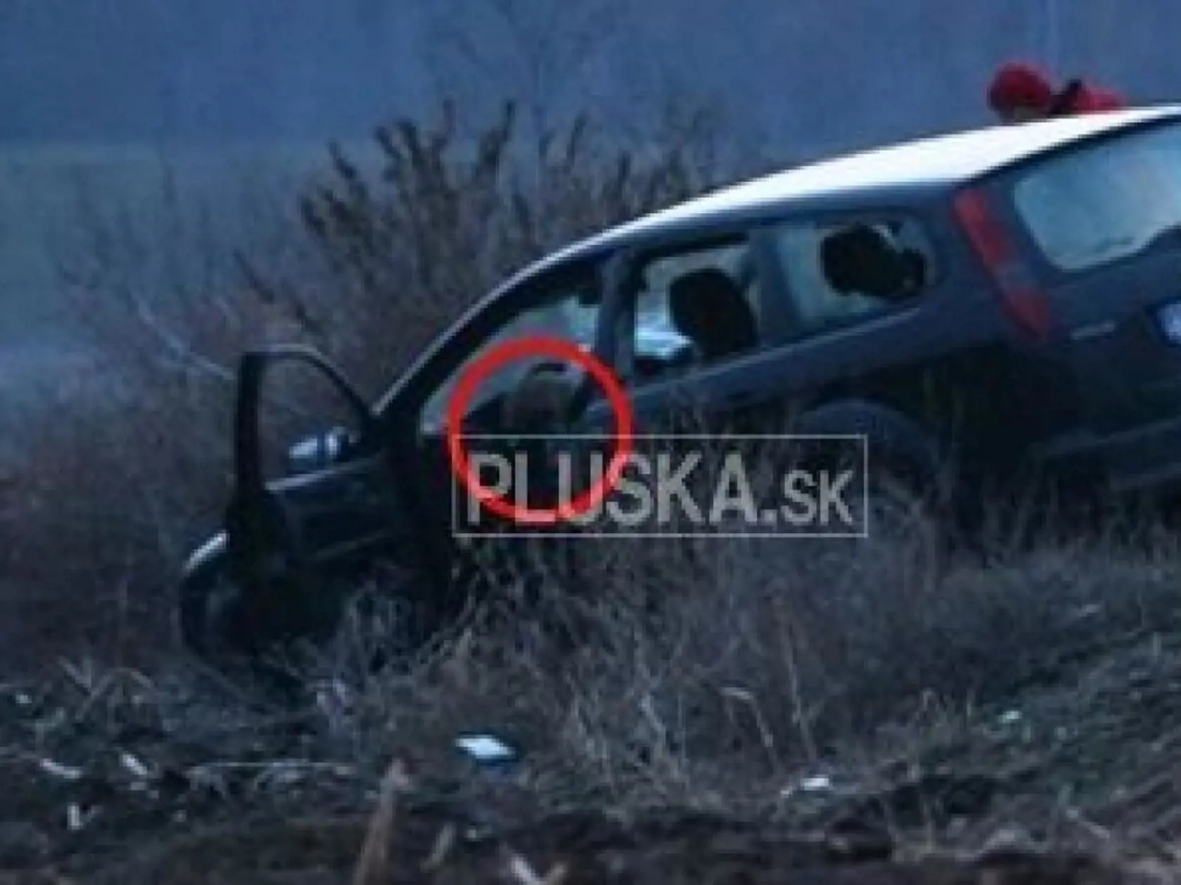 Roman Paulus mal údajne v roku 2010 zavraždiť Jozefa Kaciana, ktorého likvidáciu si mal objednať Ladislav Vasaráb.