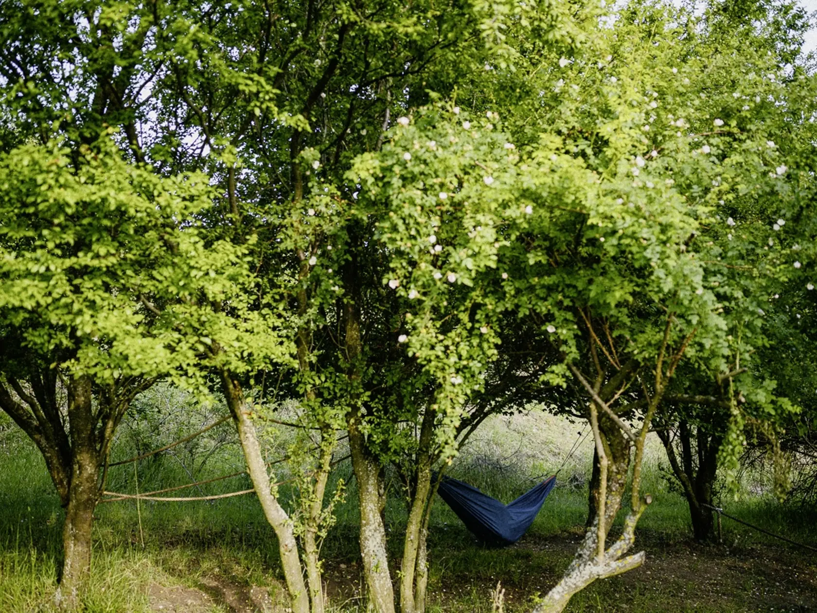 Začala počas pandémie