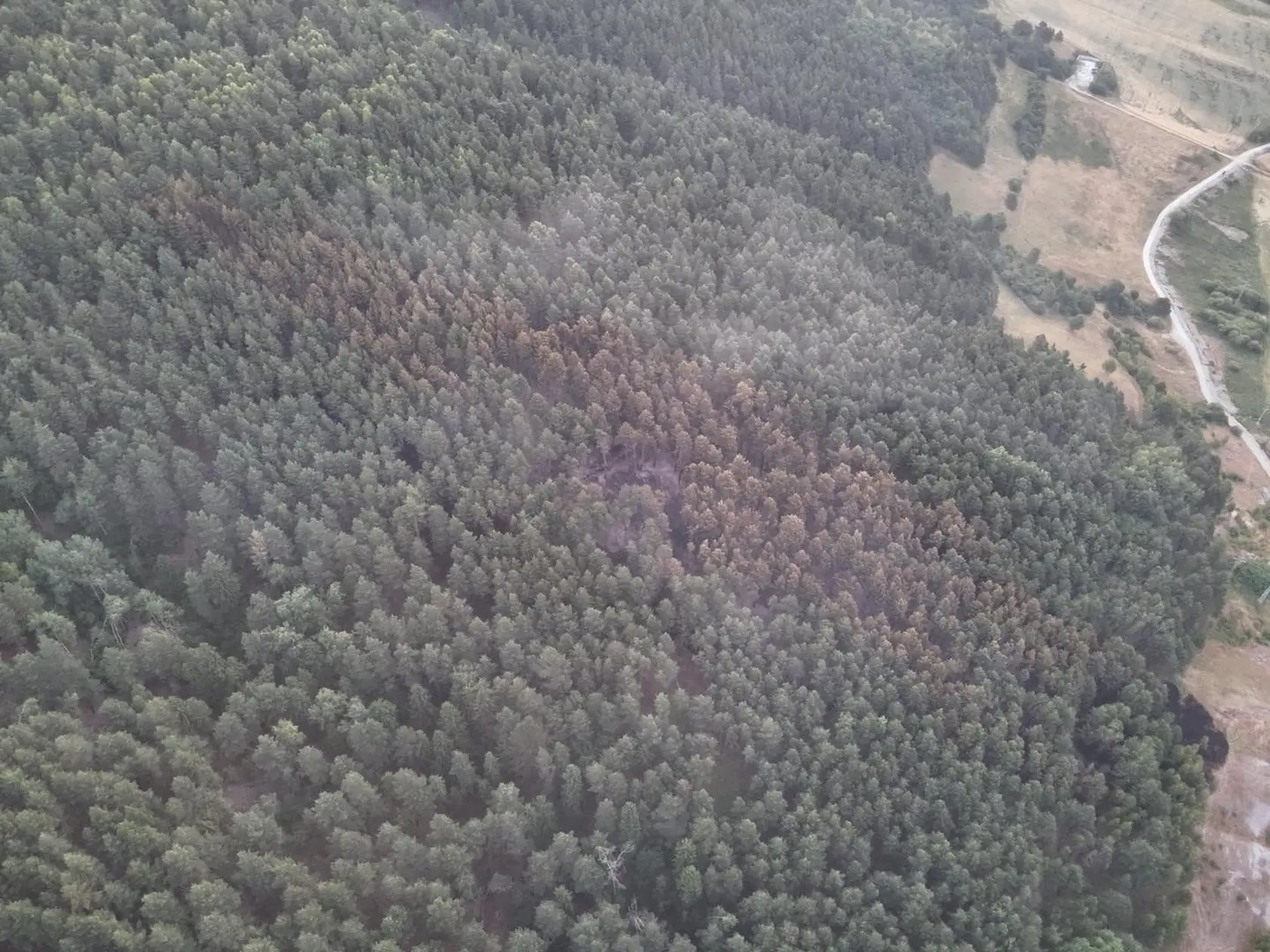 Požiar lesa v Richnave sa podarilo hasičom lokalizovať.