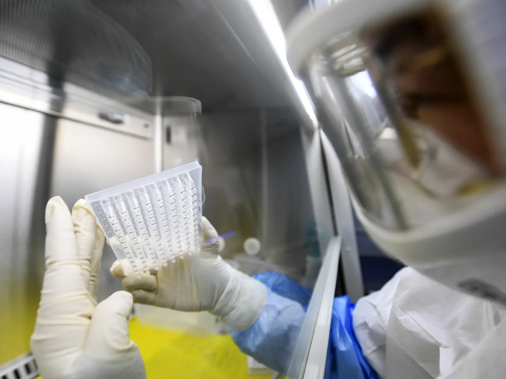 KK11 Wu-chan - Zamestnanec pracuje v ochrannom oblečení v laboratóriu Chuo-jen 6. februára 2020 v čínskom meste Wu-chan, ktoré sa špecializuje na dôkaz ribonukleovej kyseliny (RNA) nového koronavírusu 2019-nCoV. Počet potvrdených úmrtí v dôsledku nákazy novým druhom koronavírusu v Číne stúpol v piatok 7. februára 2020 na 630, informovala agentúra AFP s odvolaním sa na čínske úrady.  K aktualizácii počtu obetí došlo po tom, ako úrady vo vírusom najzasiahnutejšej čínskej provincii Chu-pej ohlásili