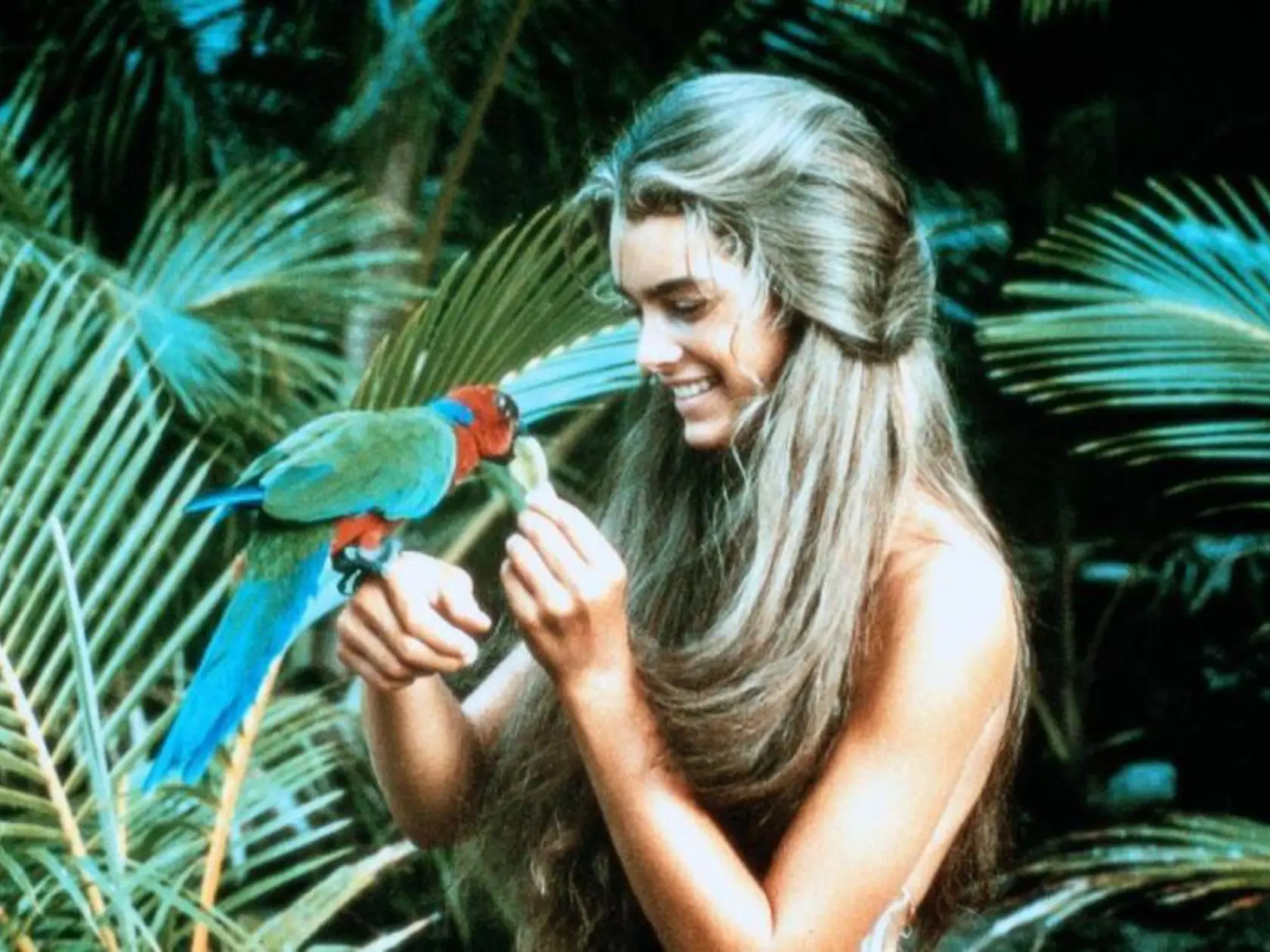 Brooke Shields mala vo filme Modrá lagúna len 14 rok