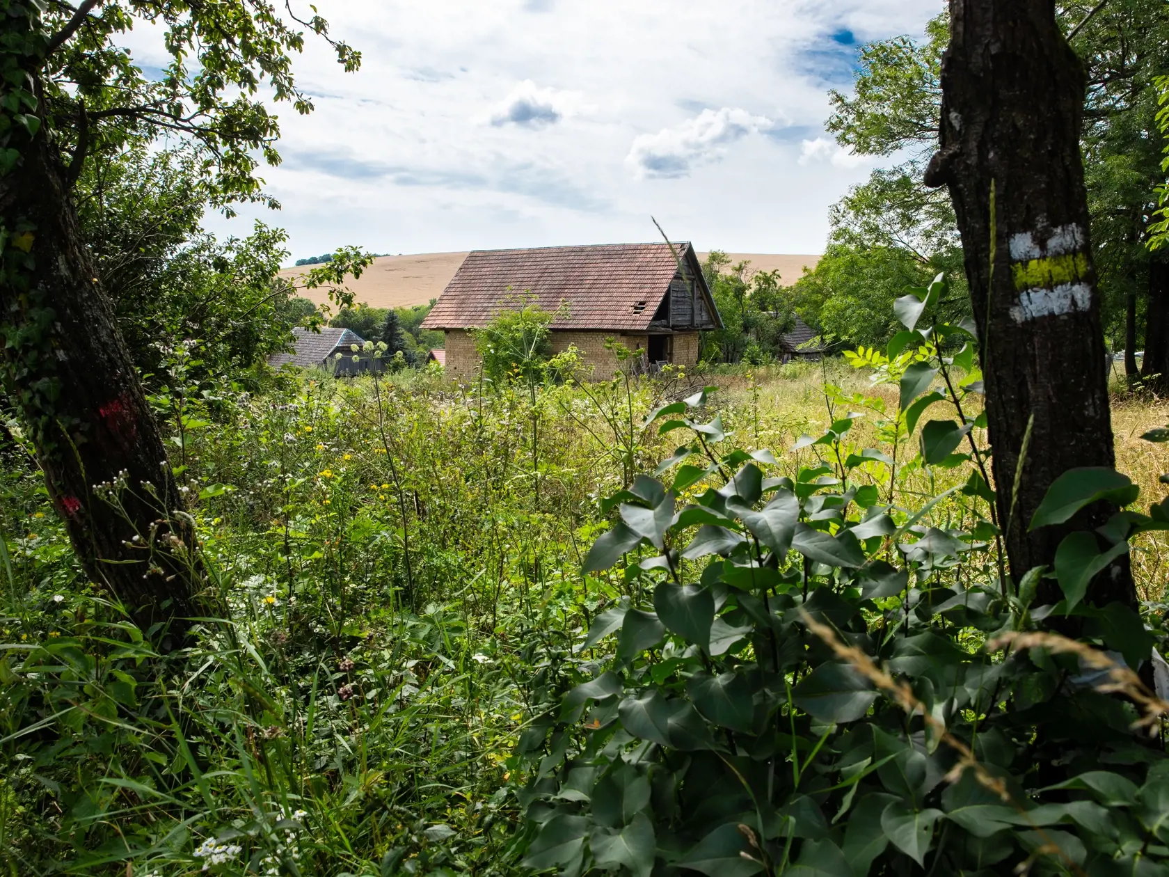 Nehnuteľnosť patriaca Adele Vinczeovej a Viktorovi Vinczemu v obci Priepastné.