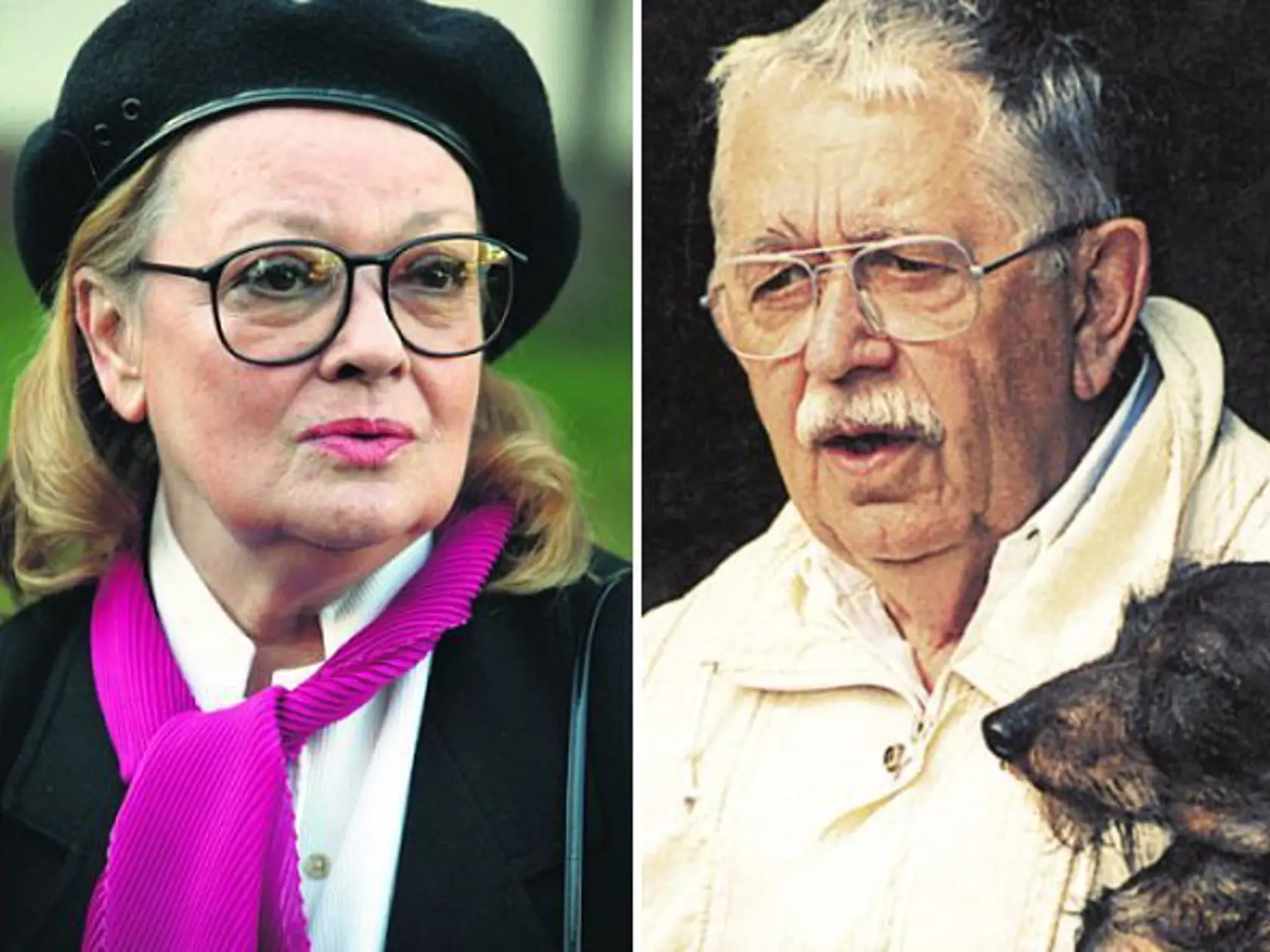 Jana Brejchová, Vlastimil Brodský