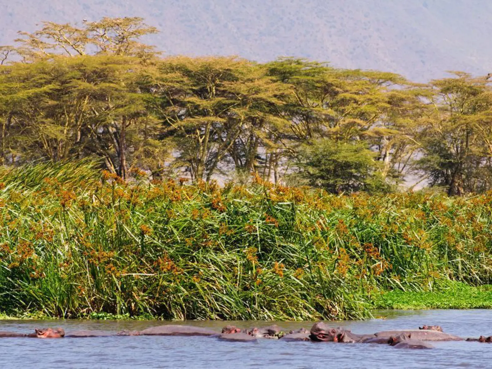 Národný park Ngorongoro