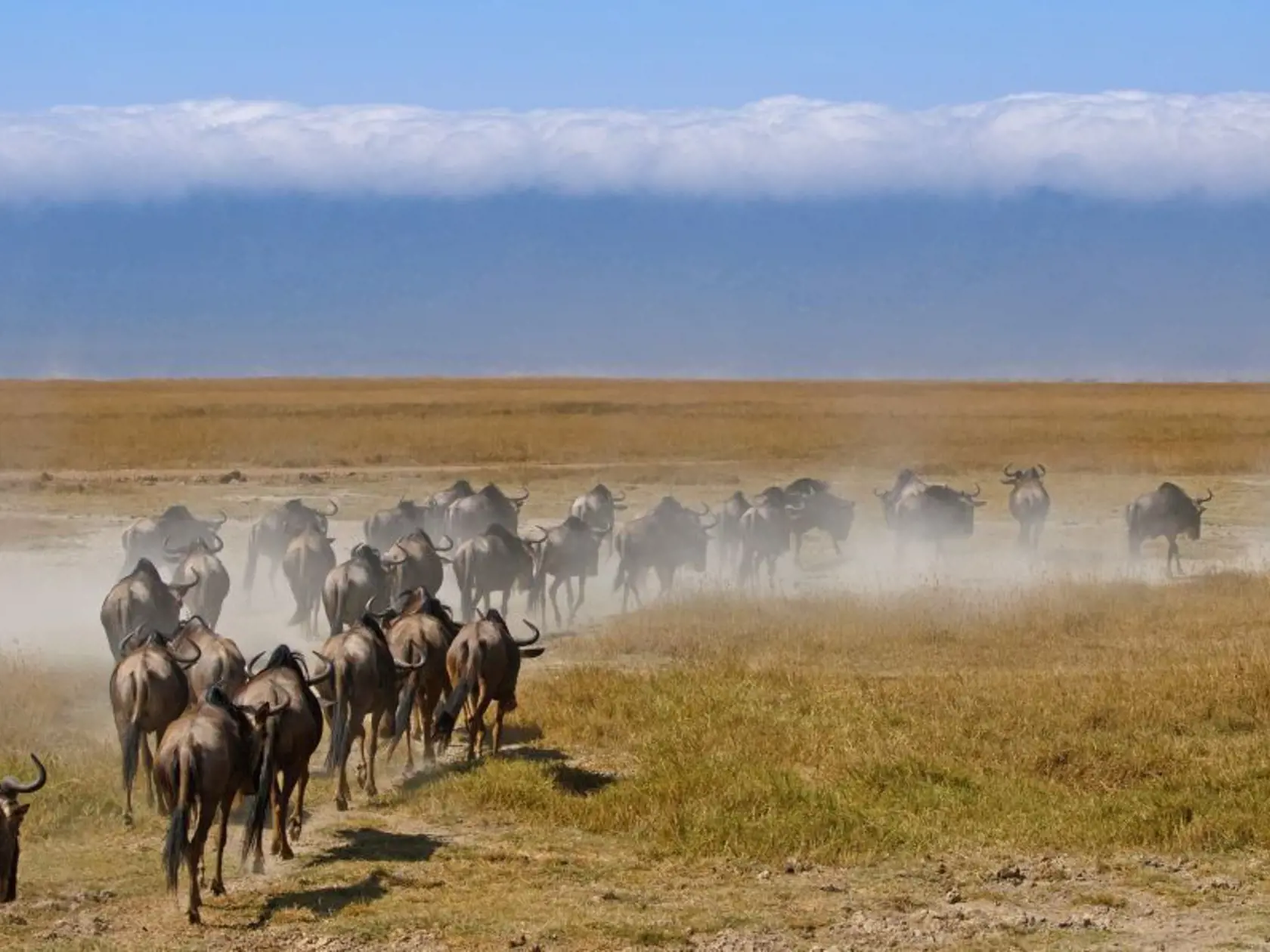 Národný park Ngorongoro
