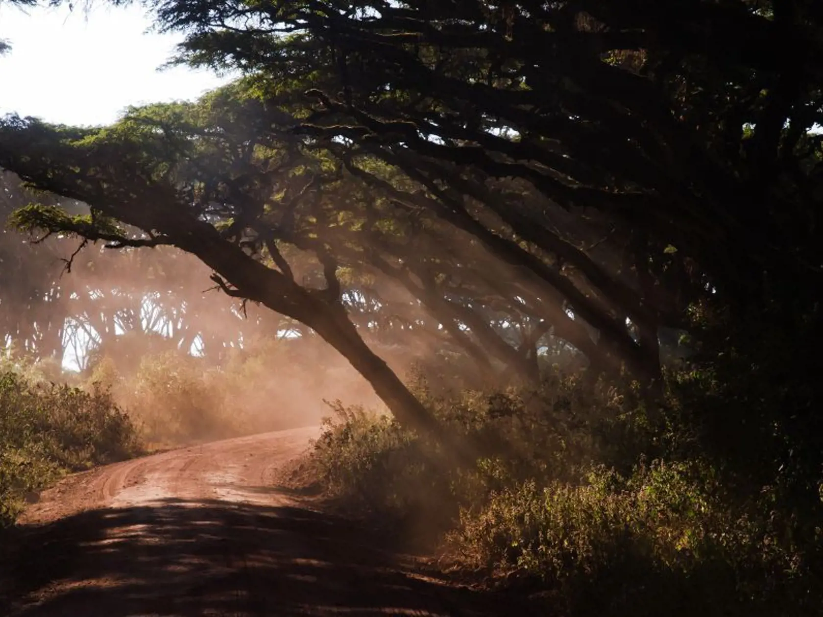 Národný park Ngorongoro