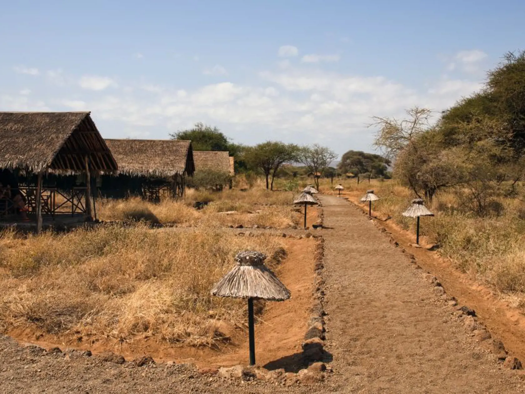 Národný park Amboseli.