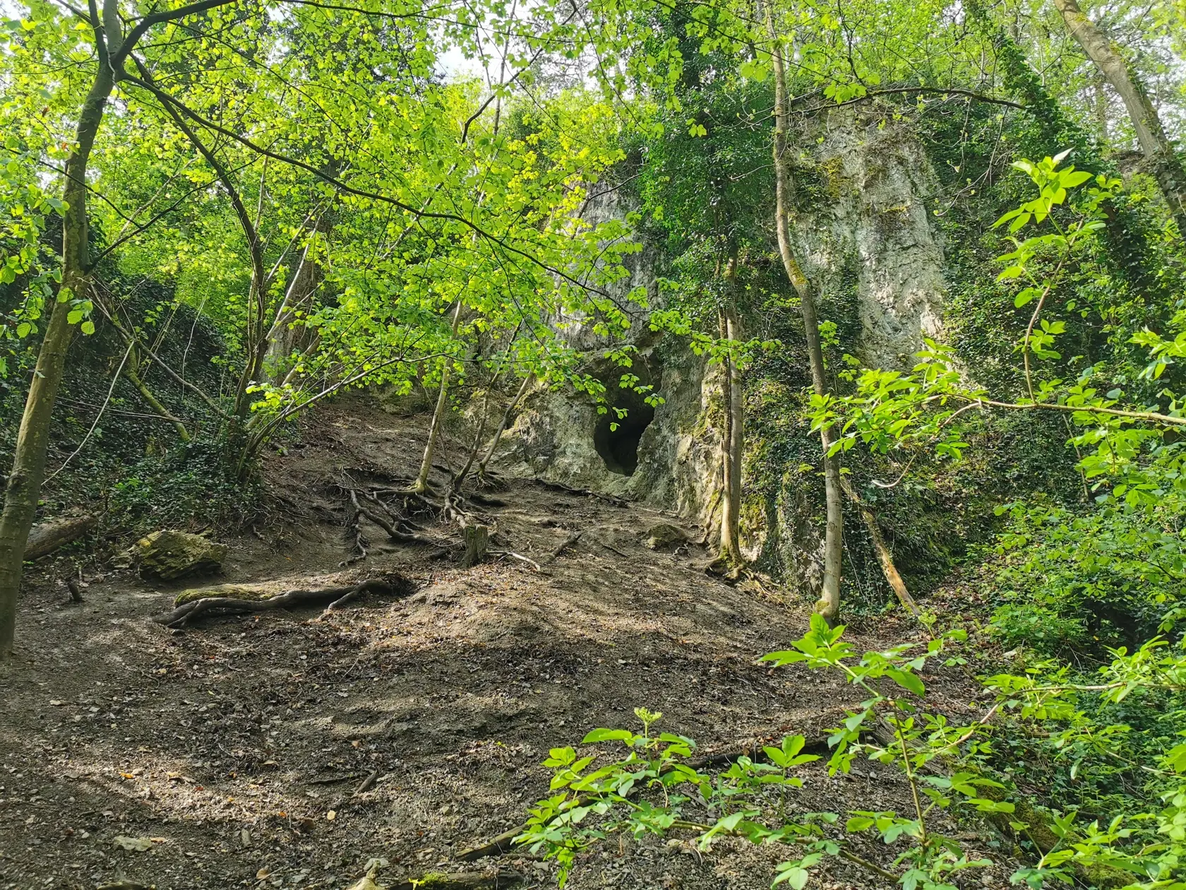 Potok sa zarezal do málo odolných hlbín podložia.