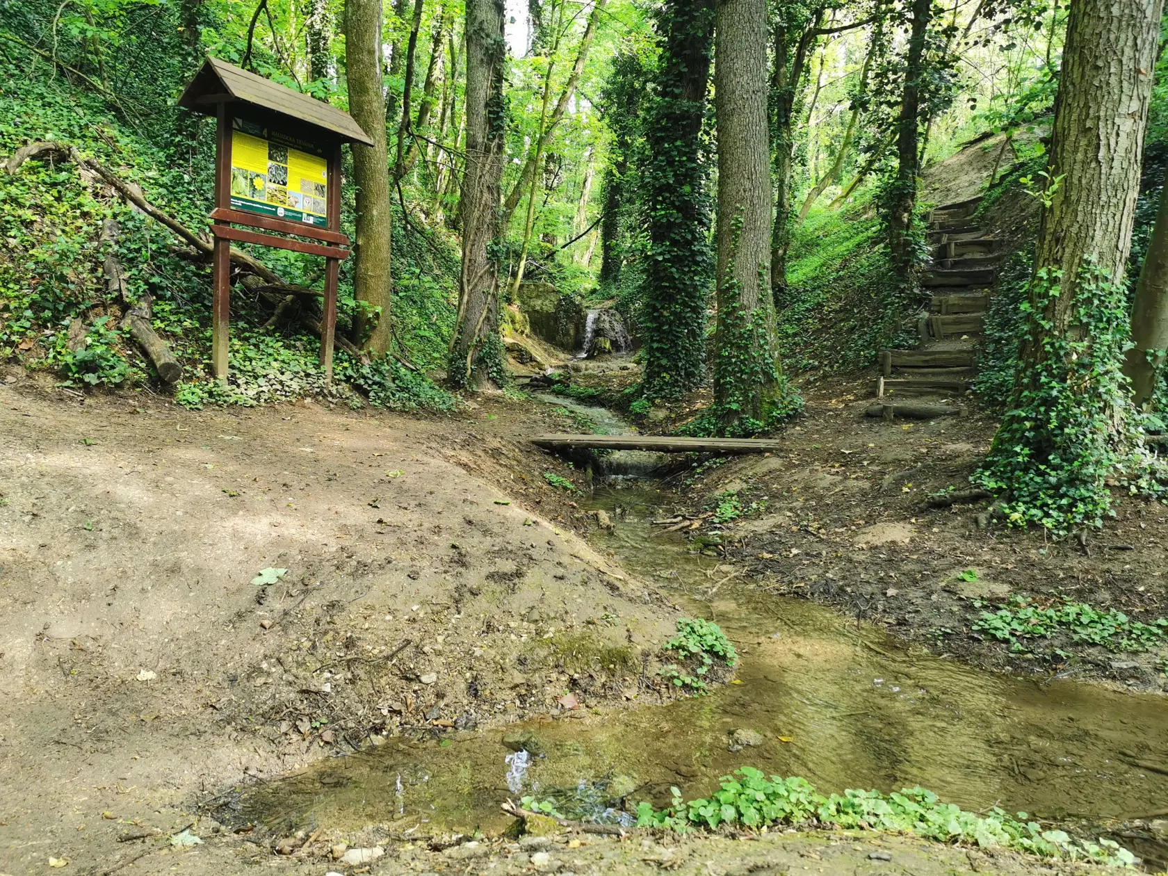 Ako v džungli. Tak to vyzerá v tiesňave.