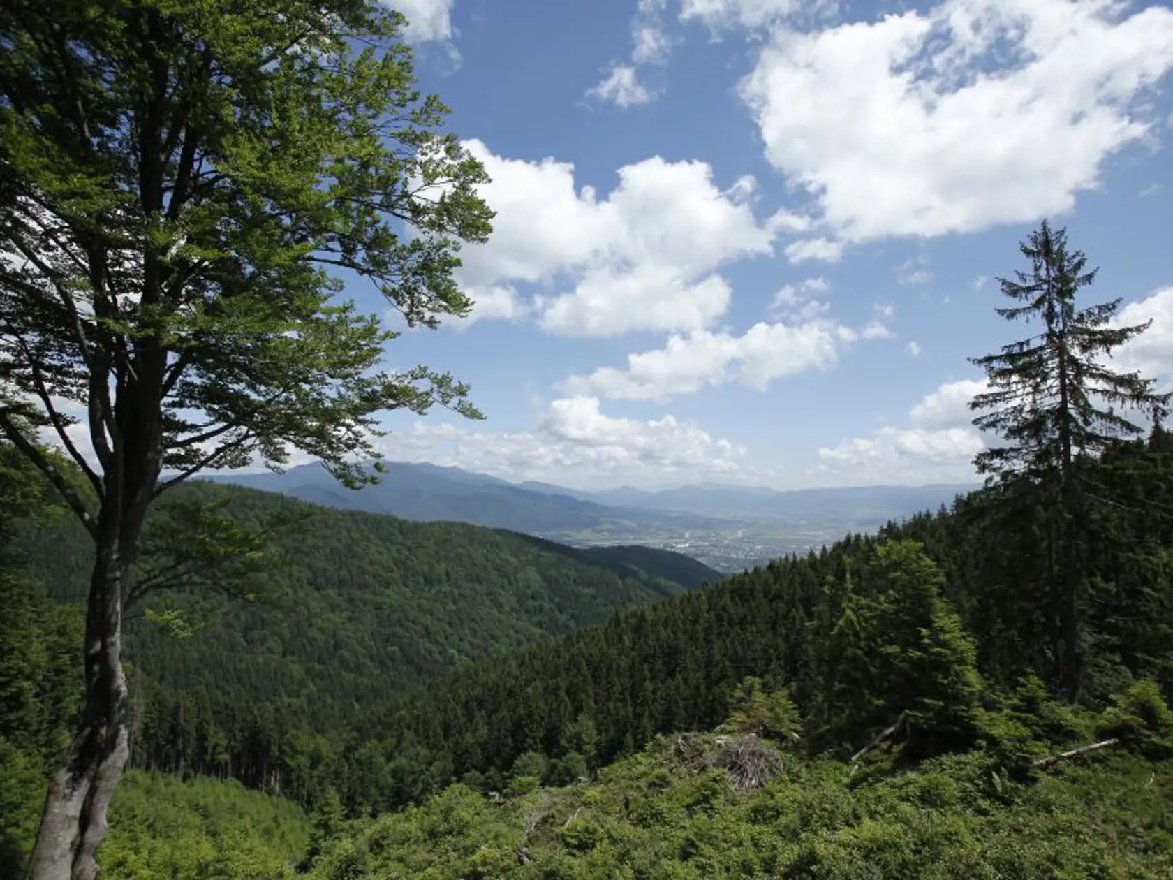 Pomenovanie Turčianska záhradka má svoje