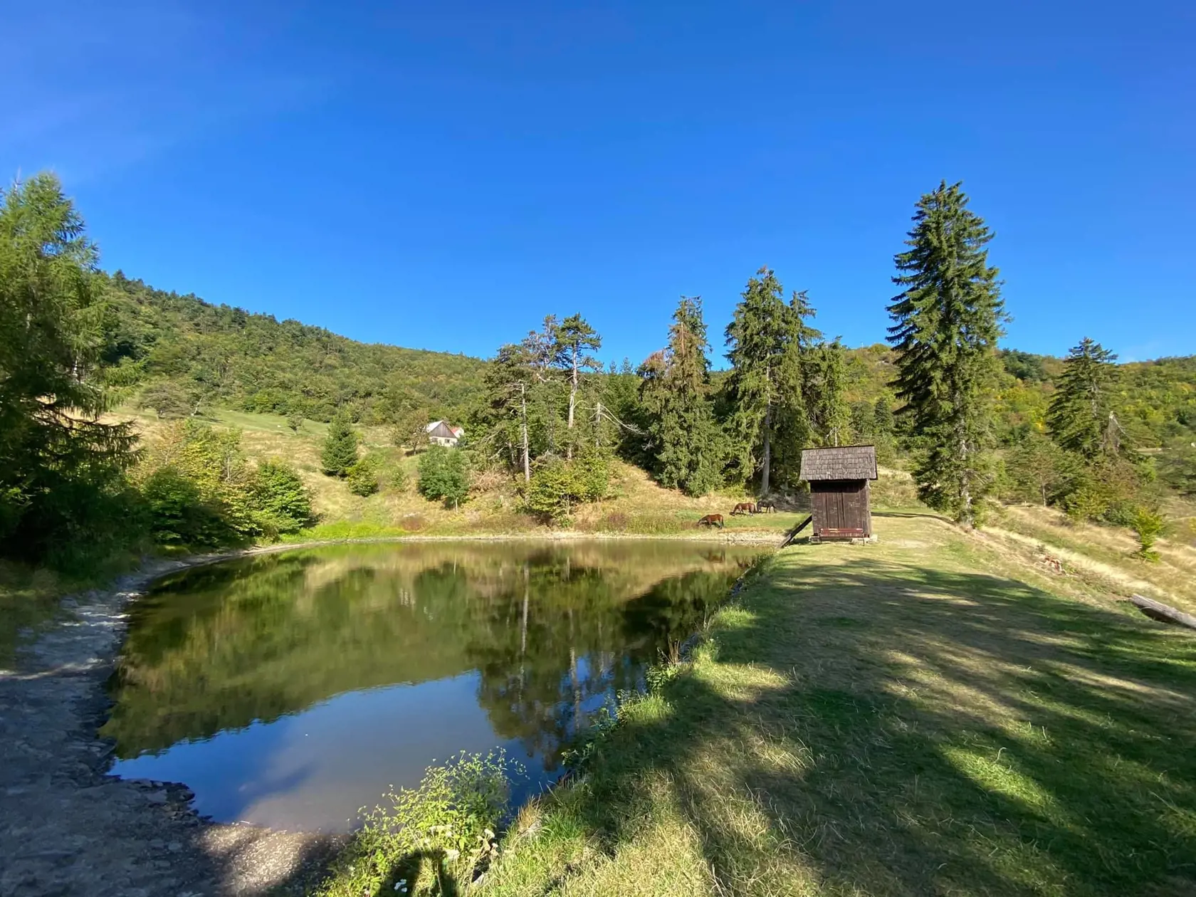 Tajch Veľká Vodárenská.