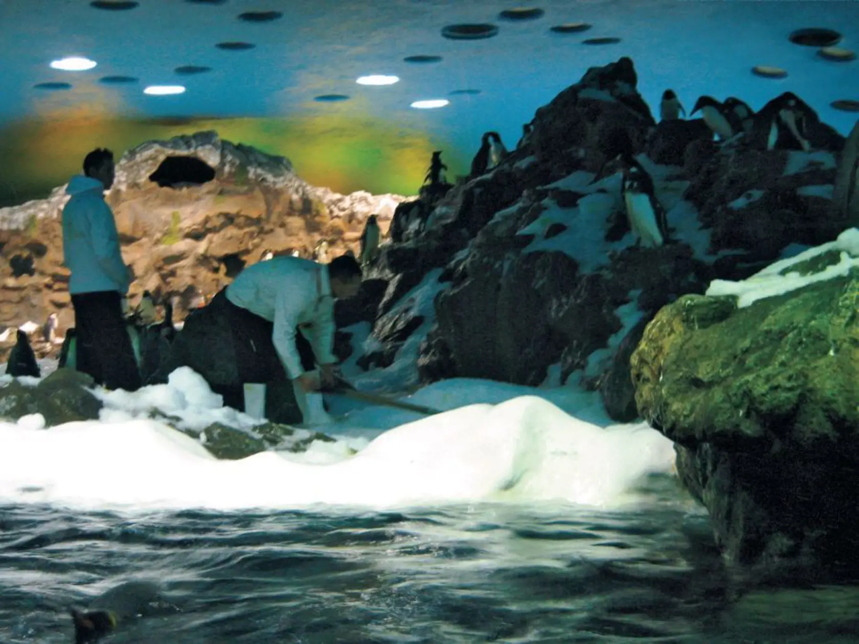 „Antarktída“ v pavilóne potrebuje denne dvanásť