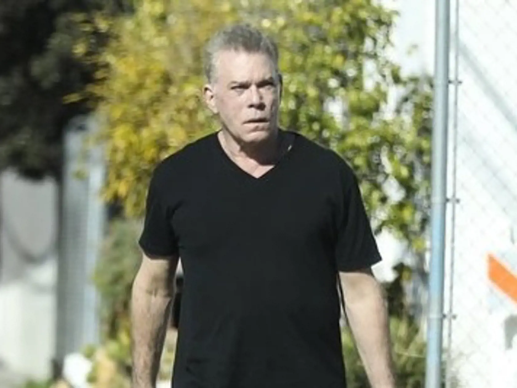 Ray Liotta