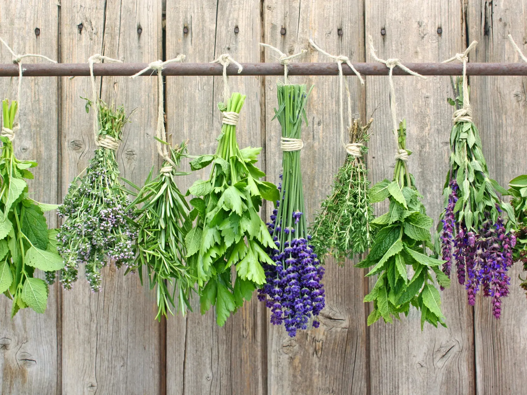 Herb,Bundles,Hanging,On,A,Rod