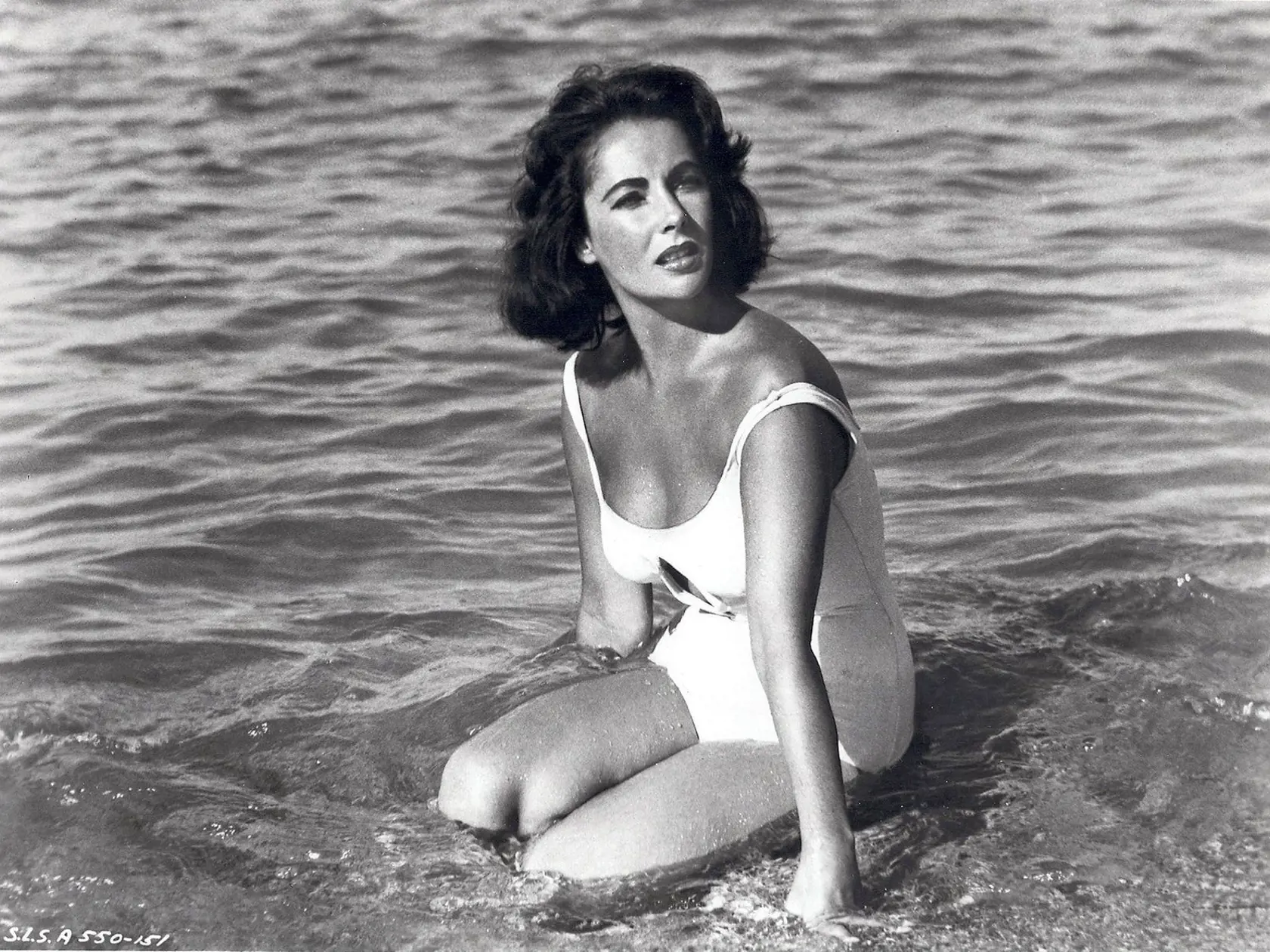 Film Suddenly, Last Summer 1959