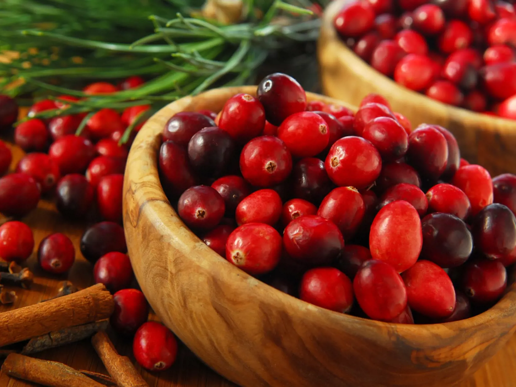 Šípky obsahujú  vitamíny C, B,  A, P a E.
