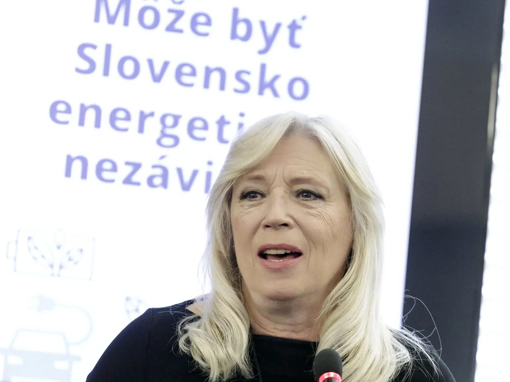 "Overiť si, kto klame, predsa dokážete veľmi jednoducho. Uvádzate rovnakú formuláciu ako ja aj vy v článku "Matovič chce predložiť návrh na reguláciu diskusných relácií..." z 25.5. Takže podľa Matoviča klamete aj vy, aj TASR a ďalšie médiá," zareagovala Radičová na status Matoviča.