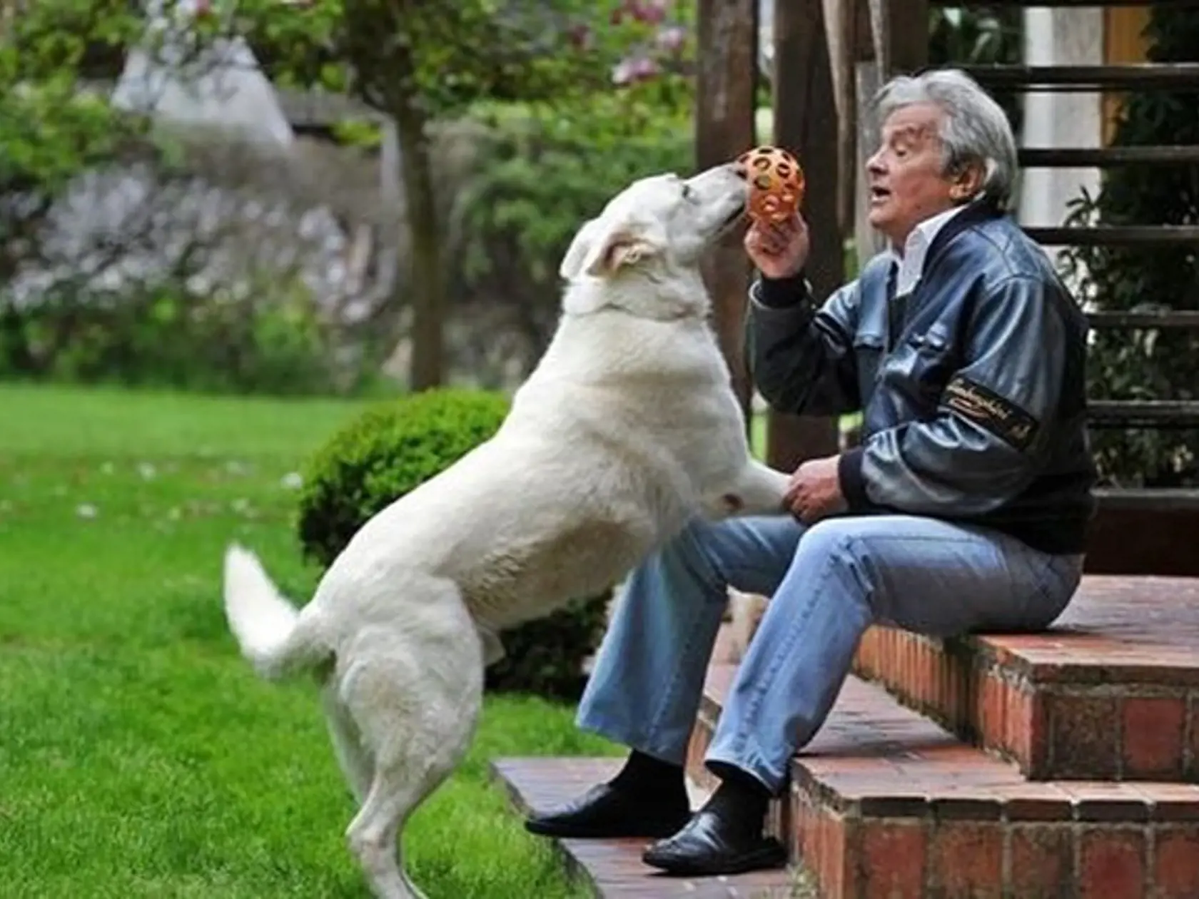 Alain Delon bol milovníkom psov: Niet čistejšej lásky, ako je láska psa, tvrdil.