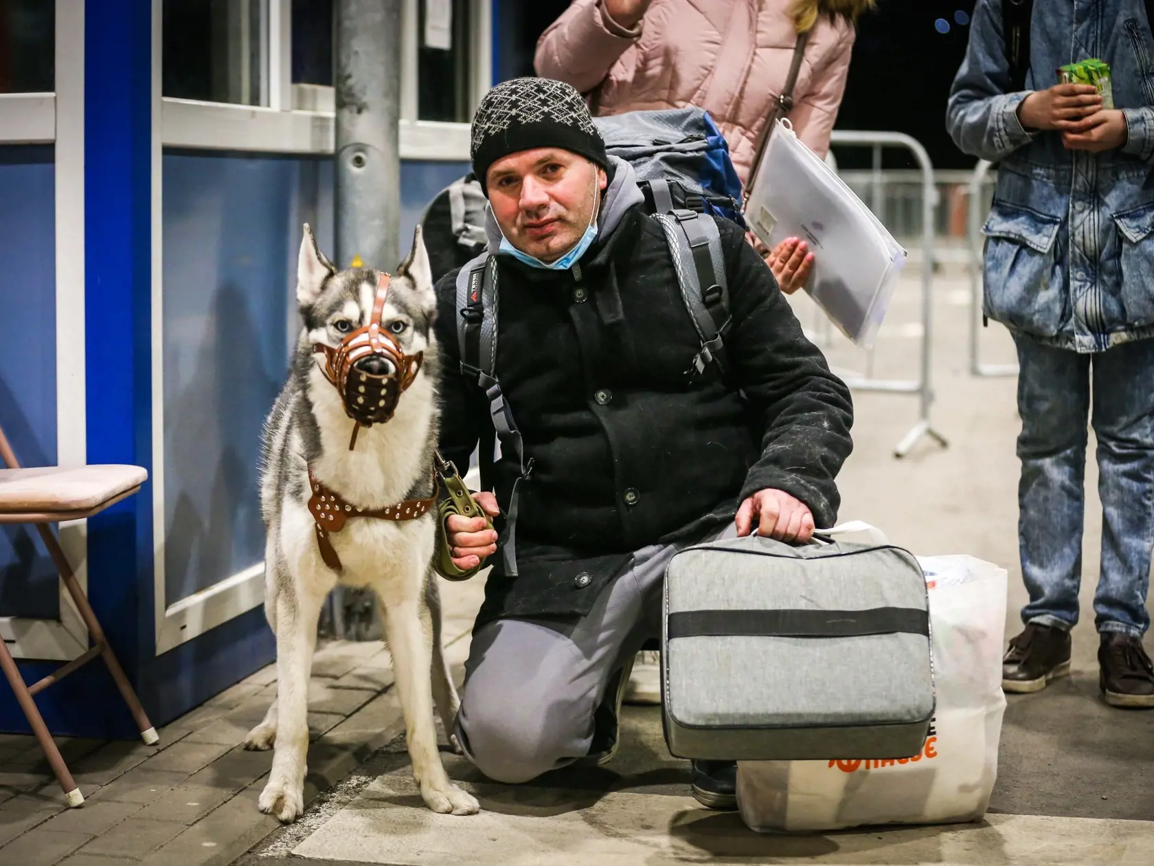 Cez slovensko-ukrajinské hranice prešlo za prvých päť týždňov vojny na Ukrajine viac ako 1500 psov a 650 mačiek.