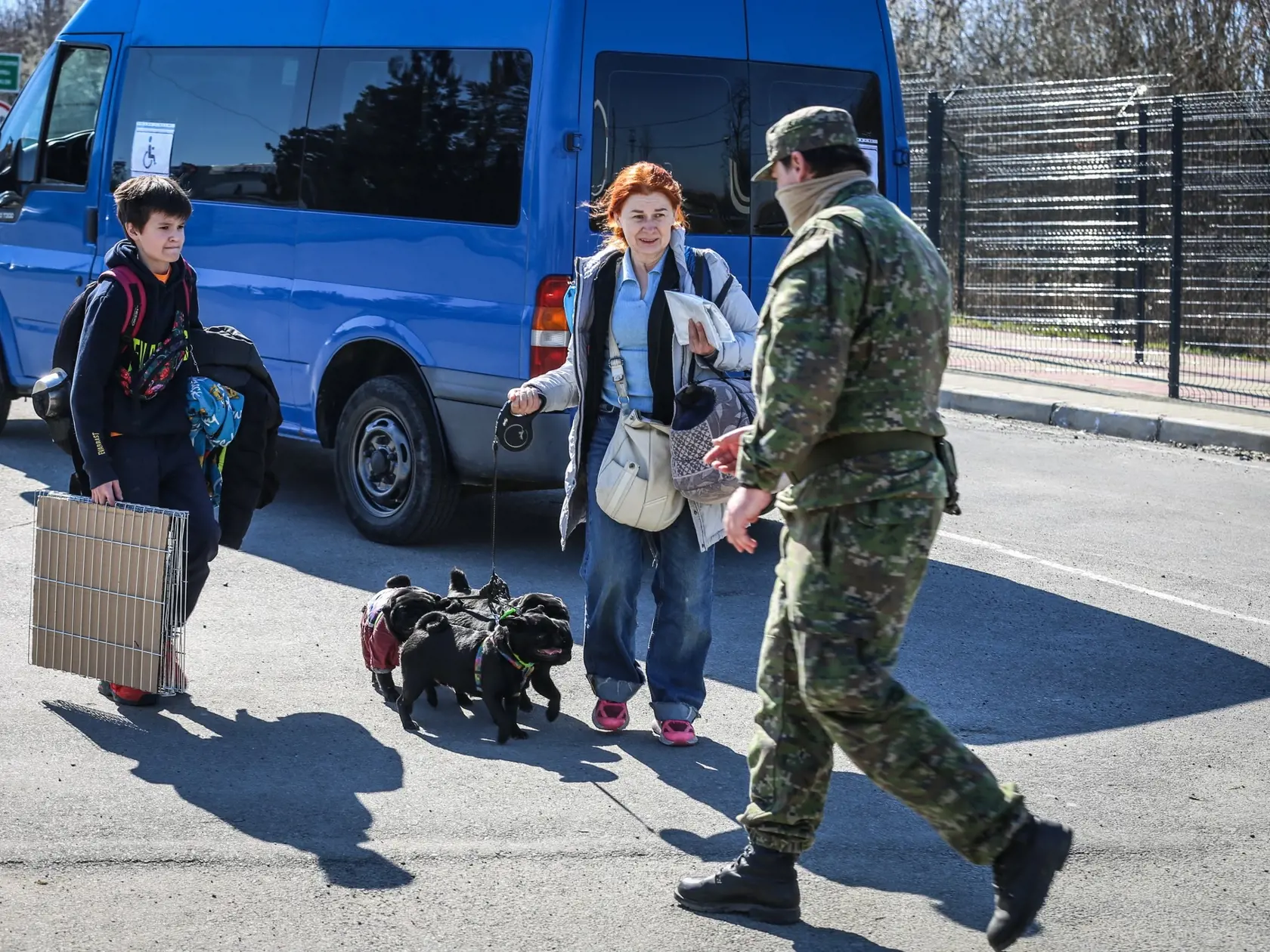 Cez slovensko-ukrajinské hranice prešlo za prvých päť týždňov vojny na Ukrajine viac ako 1500 psov a 650 mačiek.