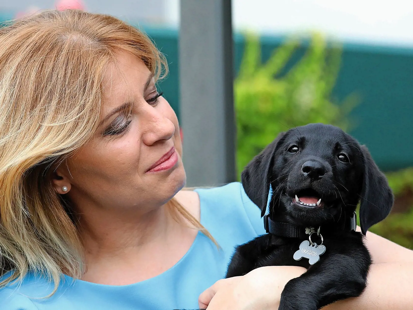 NOVÝ ČLEN DOMÁCNOSTI Prezidentka Zuzana Čaputová ukázala verejnosti labradora Leona.