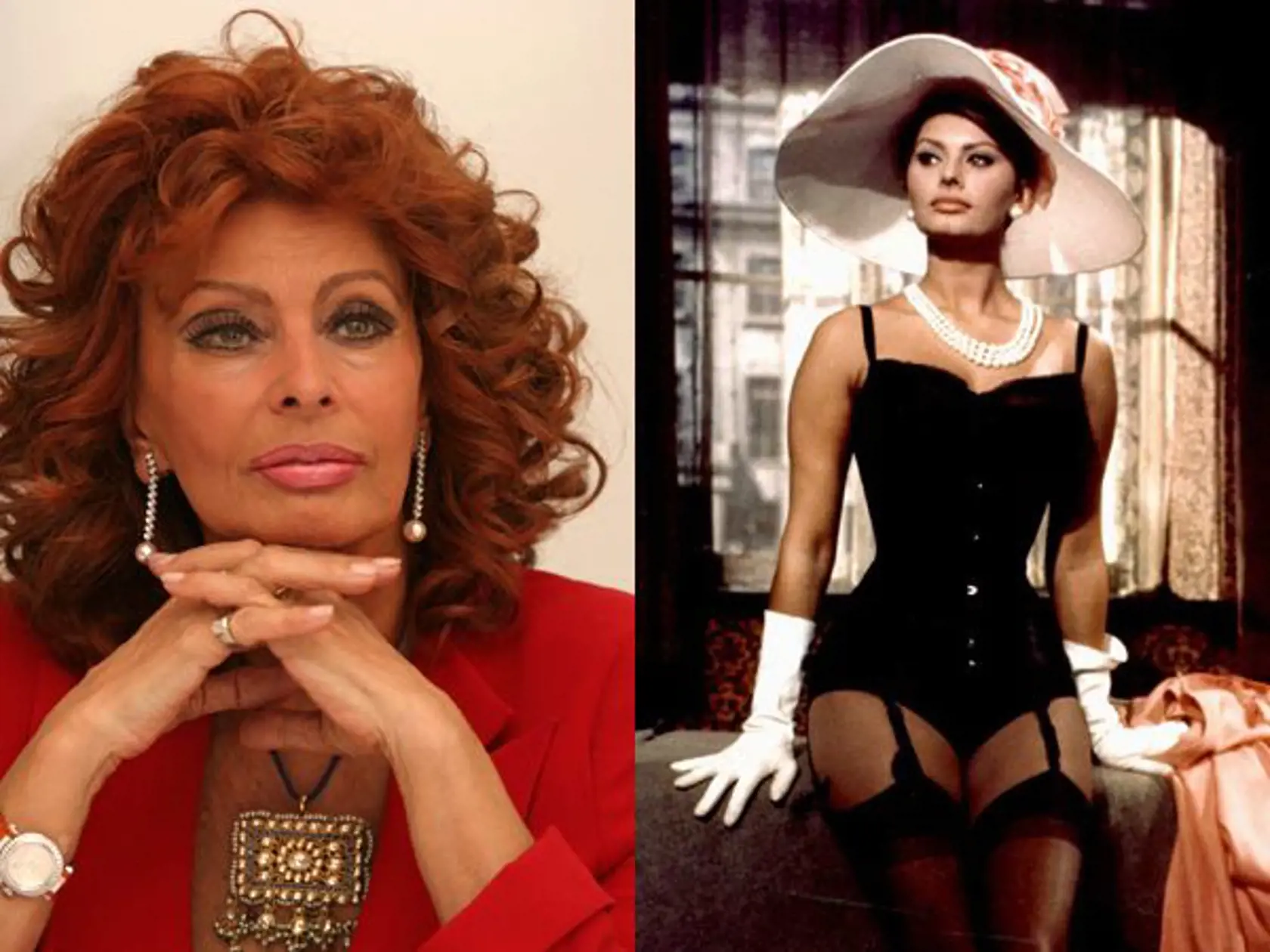 Sophia Loren