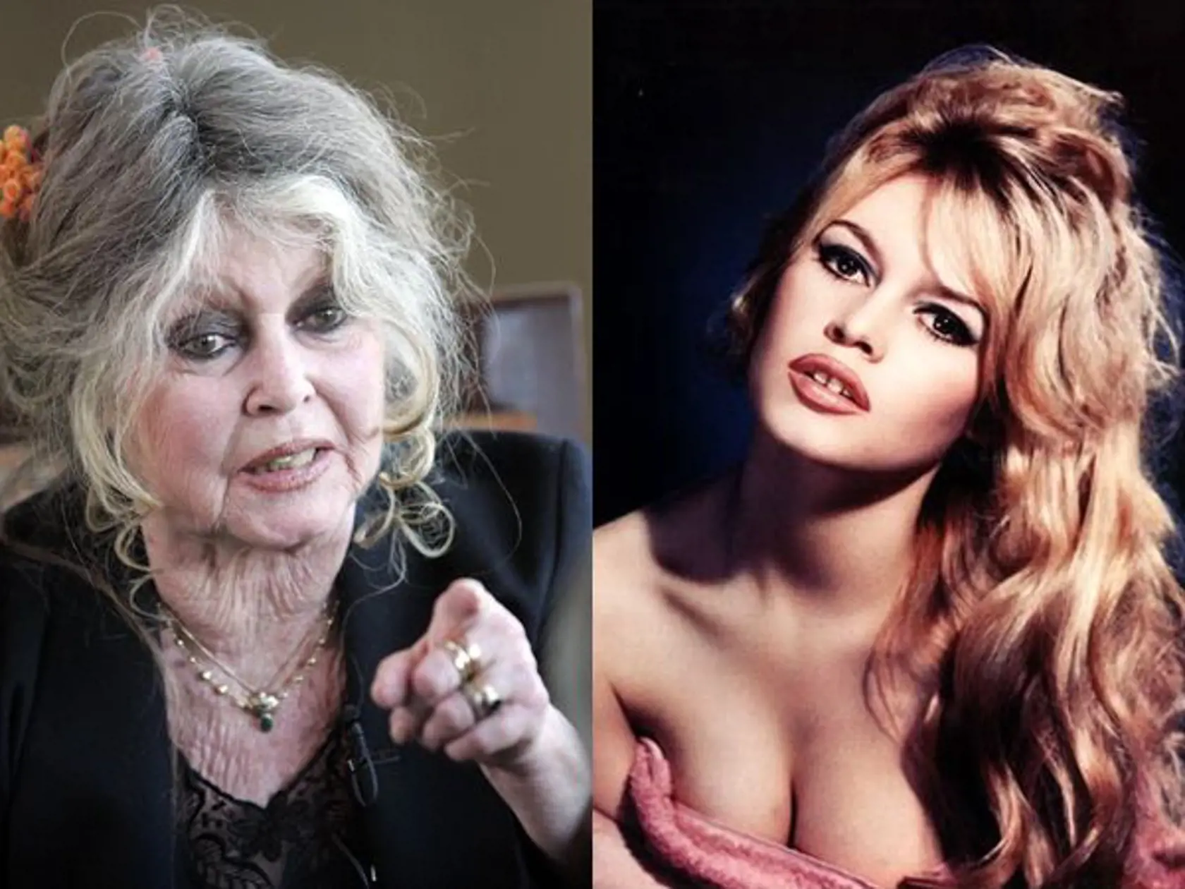 Brigitte Bardot