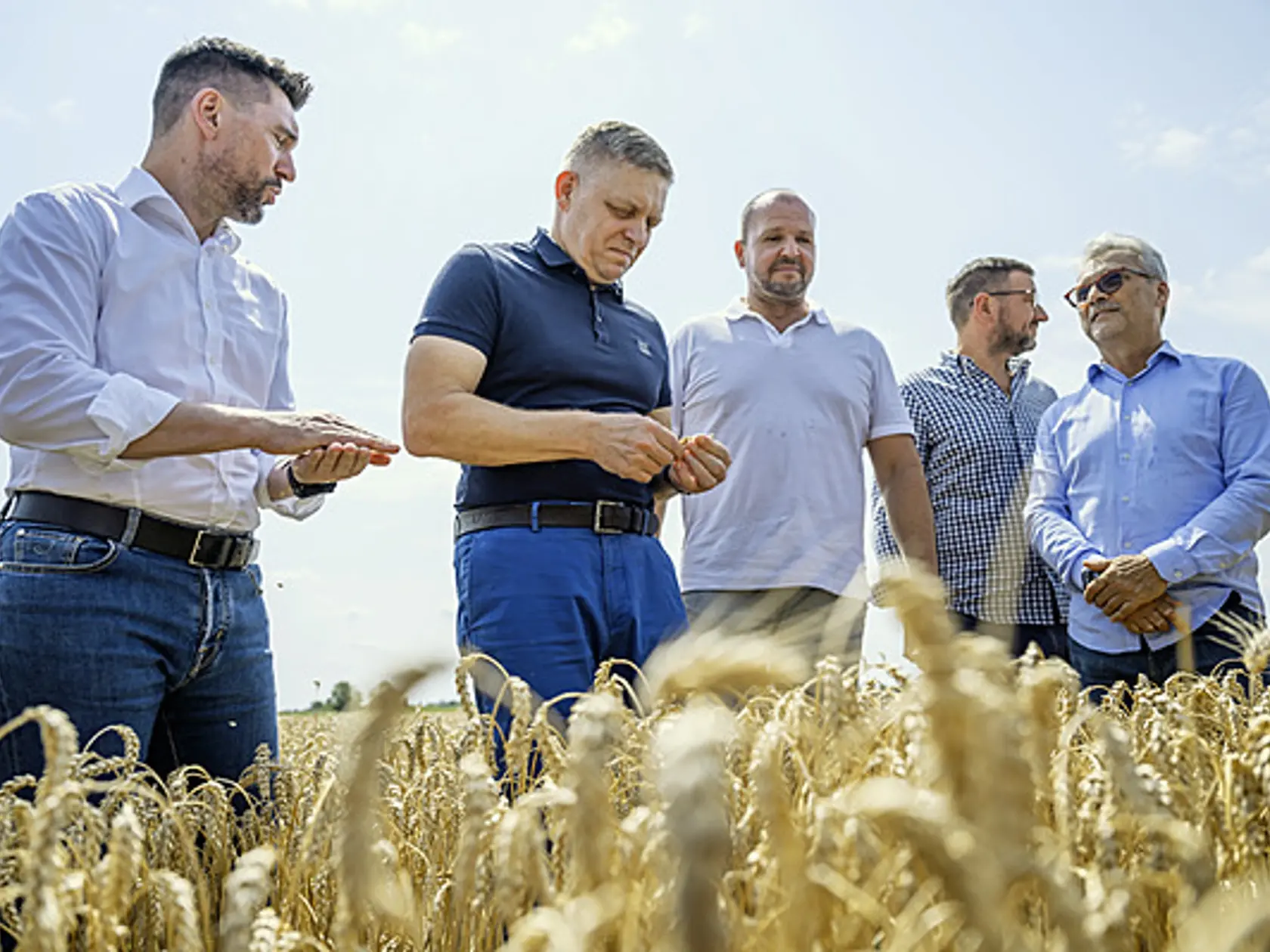 Tradícia. Politici pri žatve sú už jej symbolom, a to už od čias rakúsko-uhorskej monarchie.