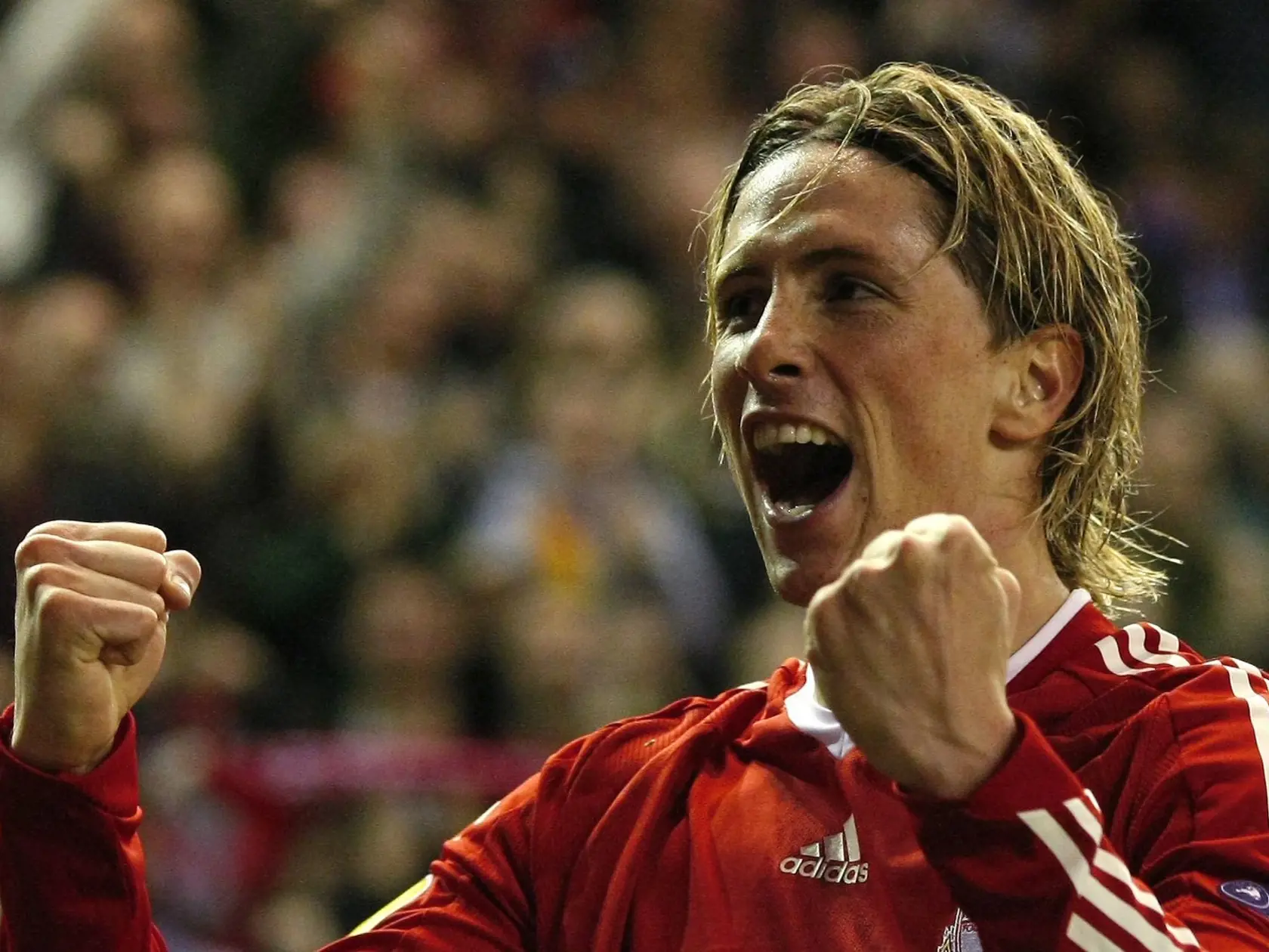 Fernando Torres