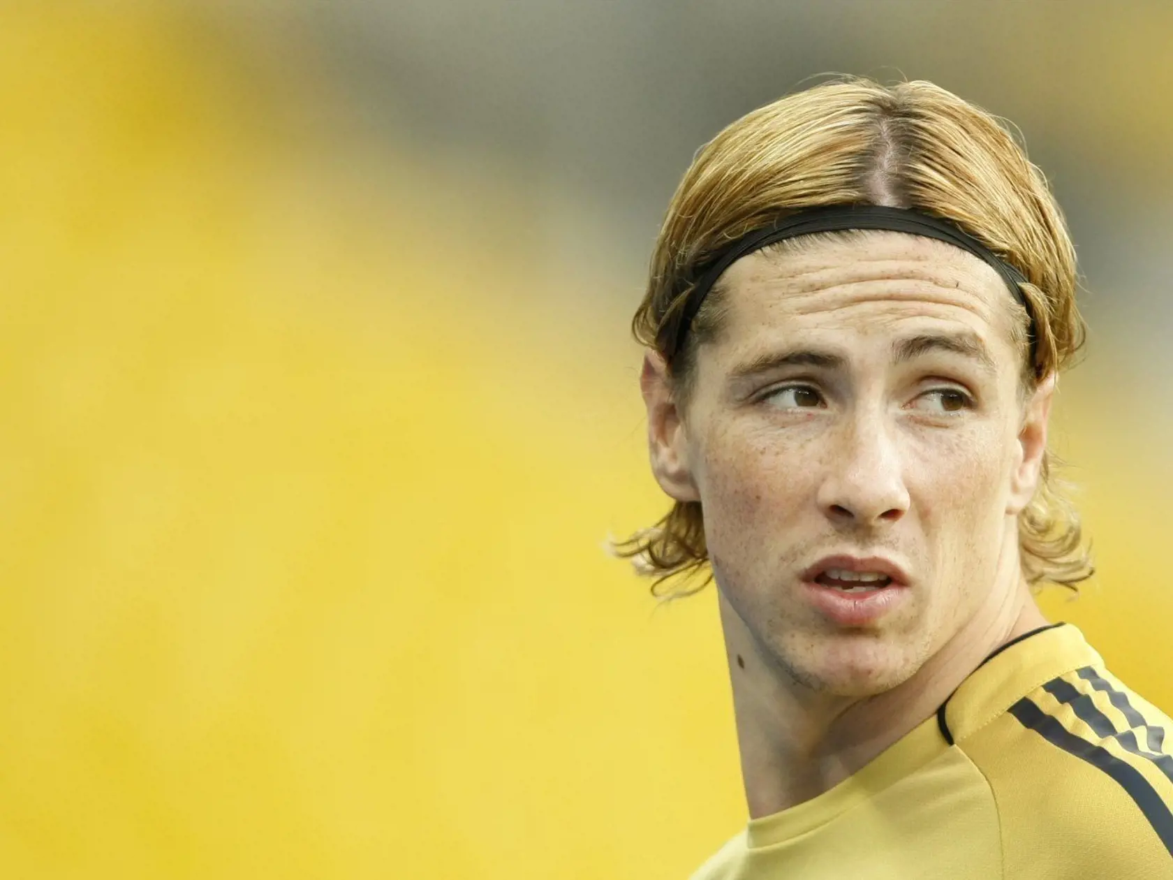 Fernando Torres