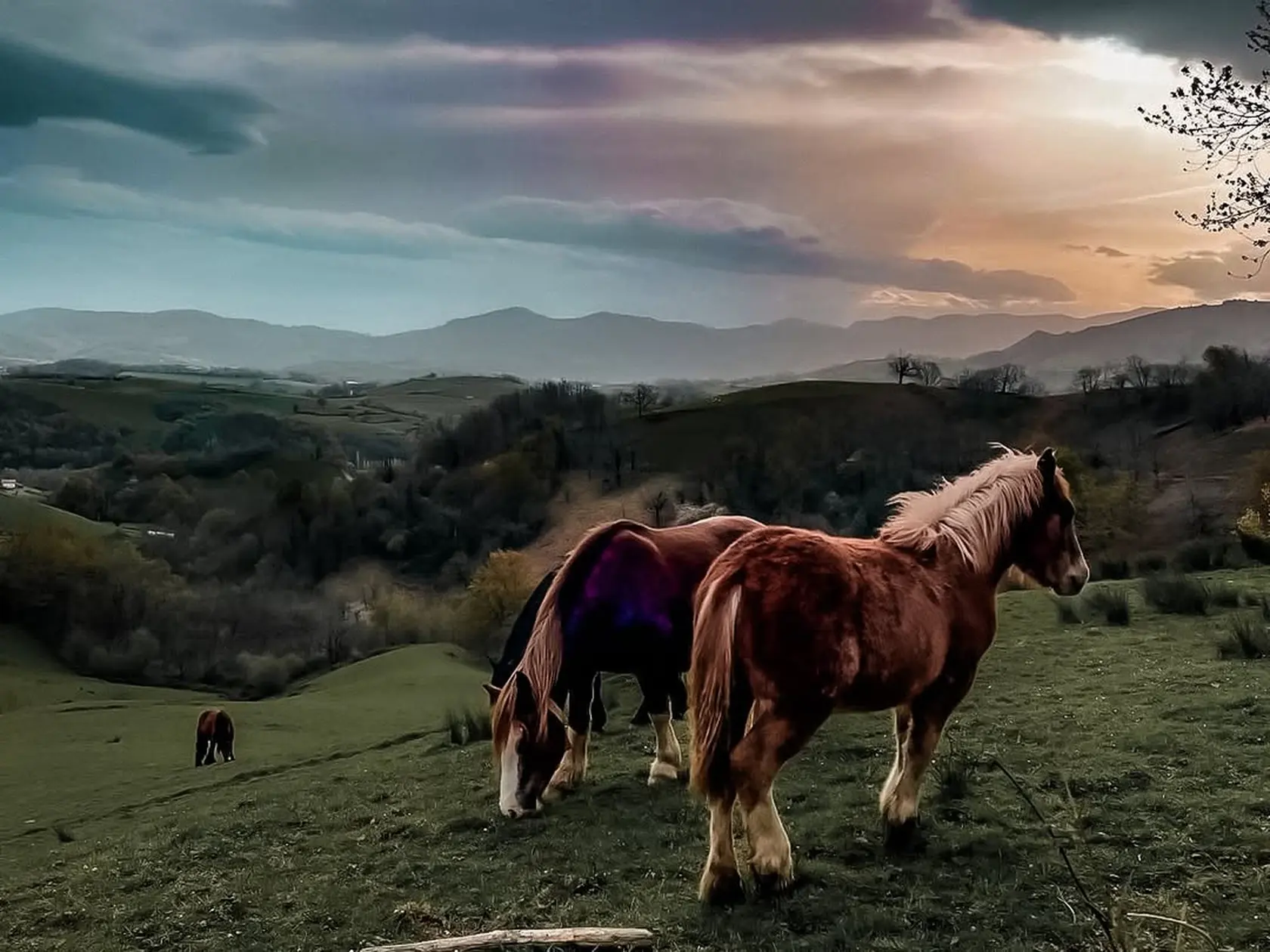 Nádherné zábery z prechodu cez Pyreneje. Katka tam zažila aj búrku a studené počasie. S vtipom dodáva, že prišla tam o svoje umelé mihalnice.