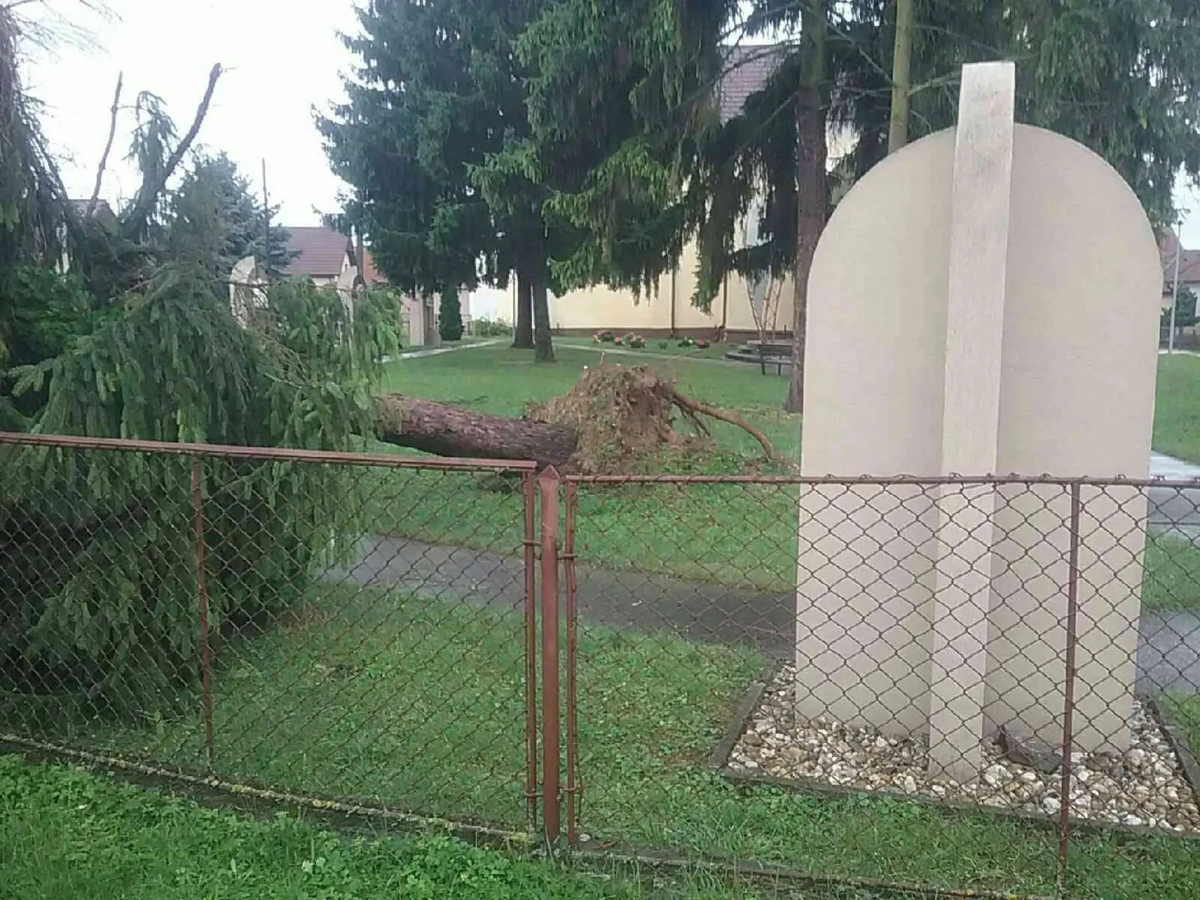 Na snímke je spadnutý strom po búrke.