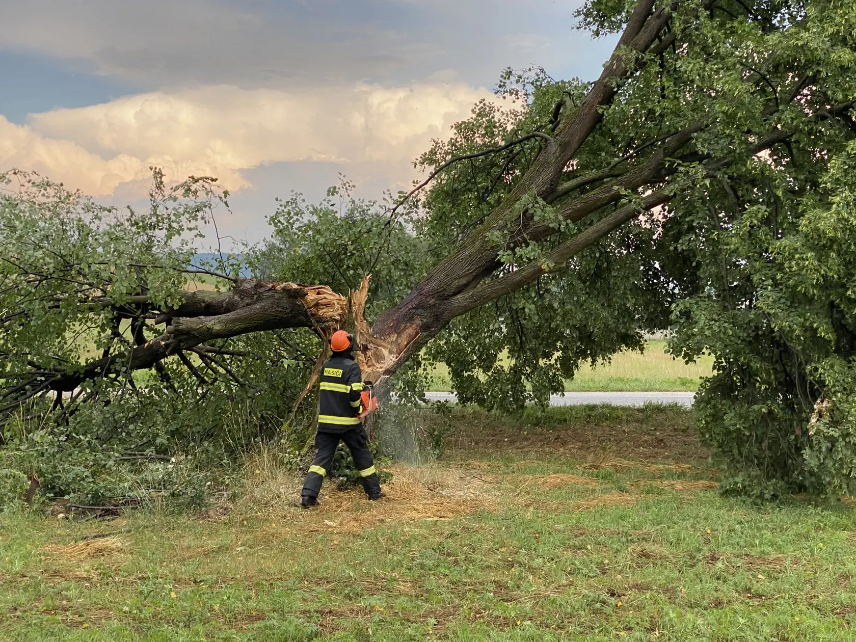 Hasič odstraňuje poškodený strom po búrke.