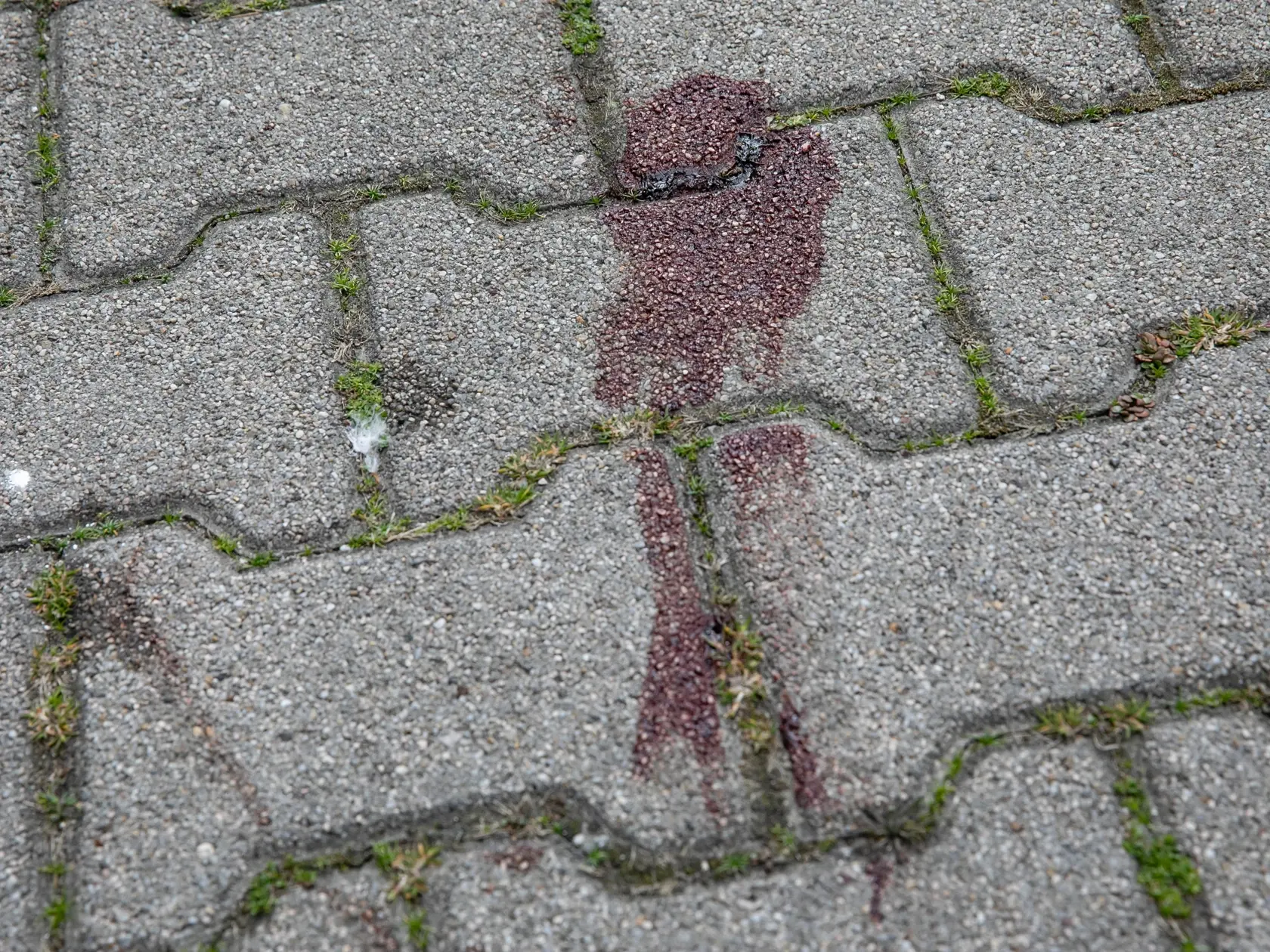 Polícia krátko po 10.15h 19.3.2023 prijala informáciu, v zmysle ktorej malo dôjsť k pádu osoby mužského pohlavia z jedného z bytov na Vyšehradskej ulici v Petržalke. Muž bol privolanou záchrannou službou prevezený do jednej z nemocníc, kde zraneniam podľahol. Krátko po 15.00 h sme prijala ďalšie oznámenie, v zmysle ktorého malo dôjsť na uvedenej adrese k pádu ďalšej osoby – tentokrát ženského pohlavia. Tá utrpela pádom zranenia, ktorým na mieste podľahla.
