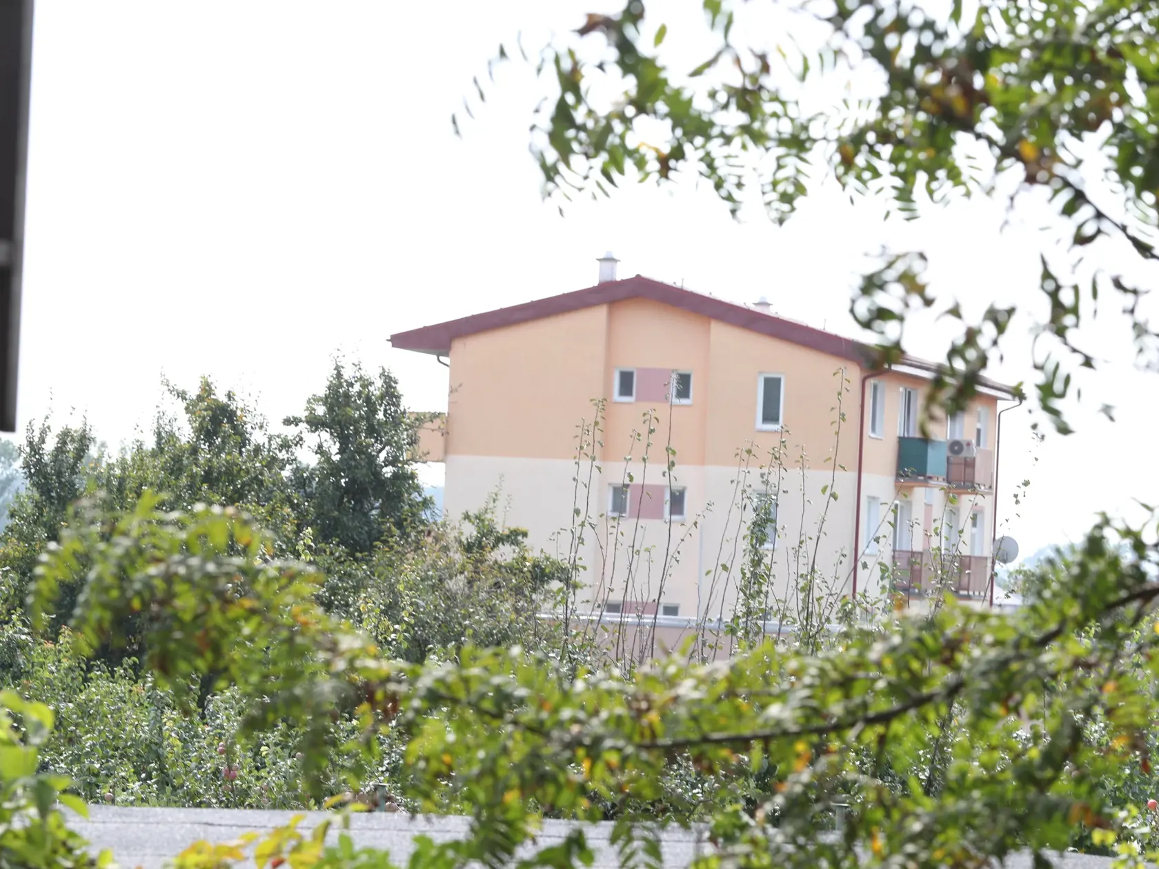 Vľavo je roh domu z ktorého vyšla strela. Zasiahla okno v bielom páse vpravo, ktoré sa nachádza za zeleňou.