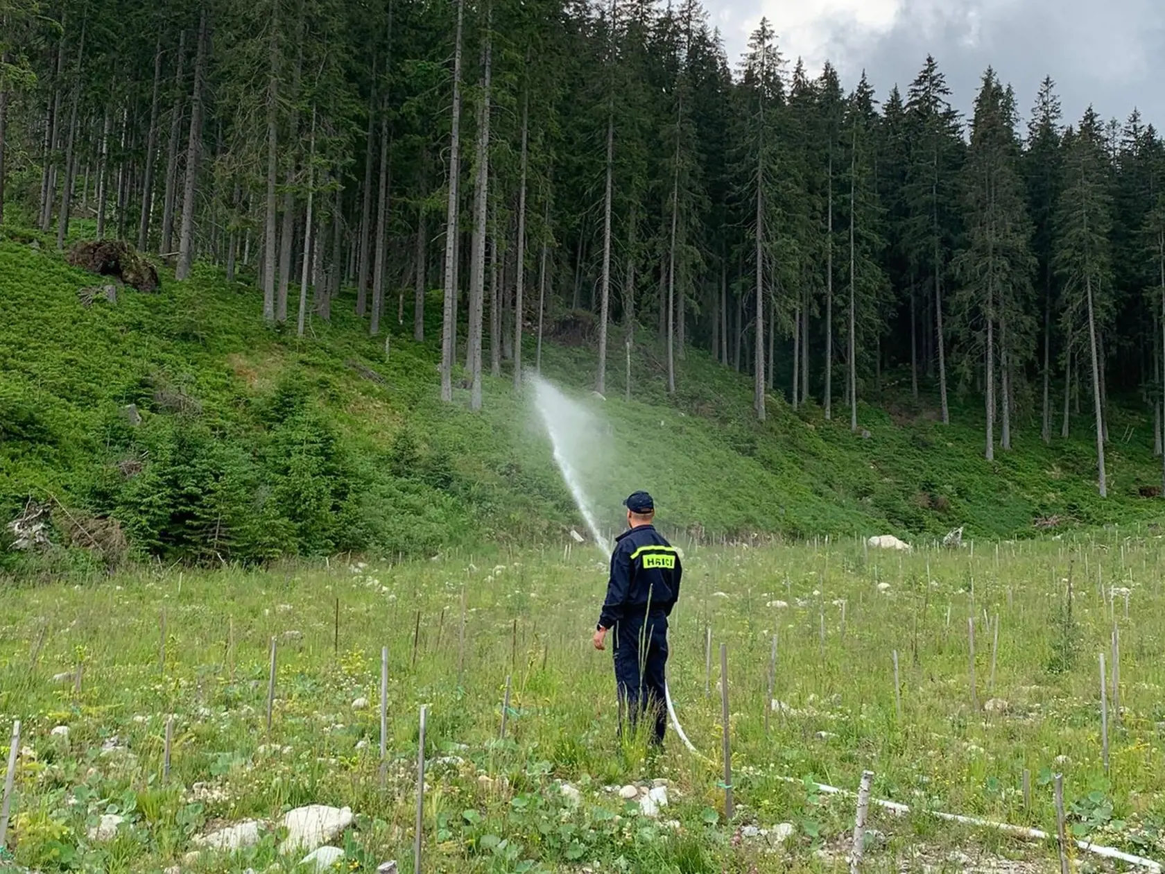 Hasiči z Liptova našťastie nemuseli riešiť požiar, ale polievať sadenice stromčekov.