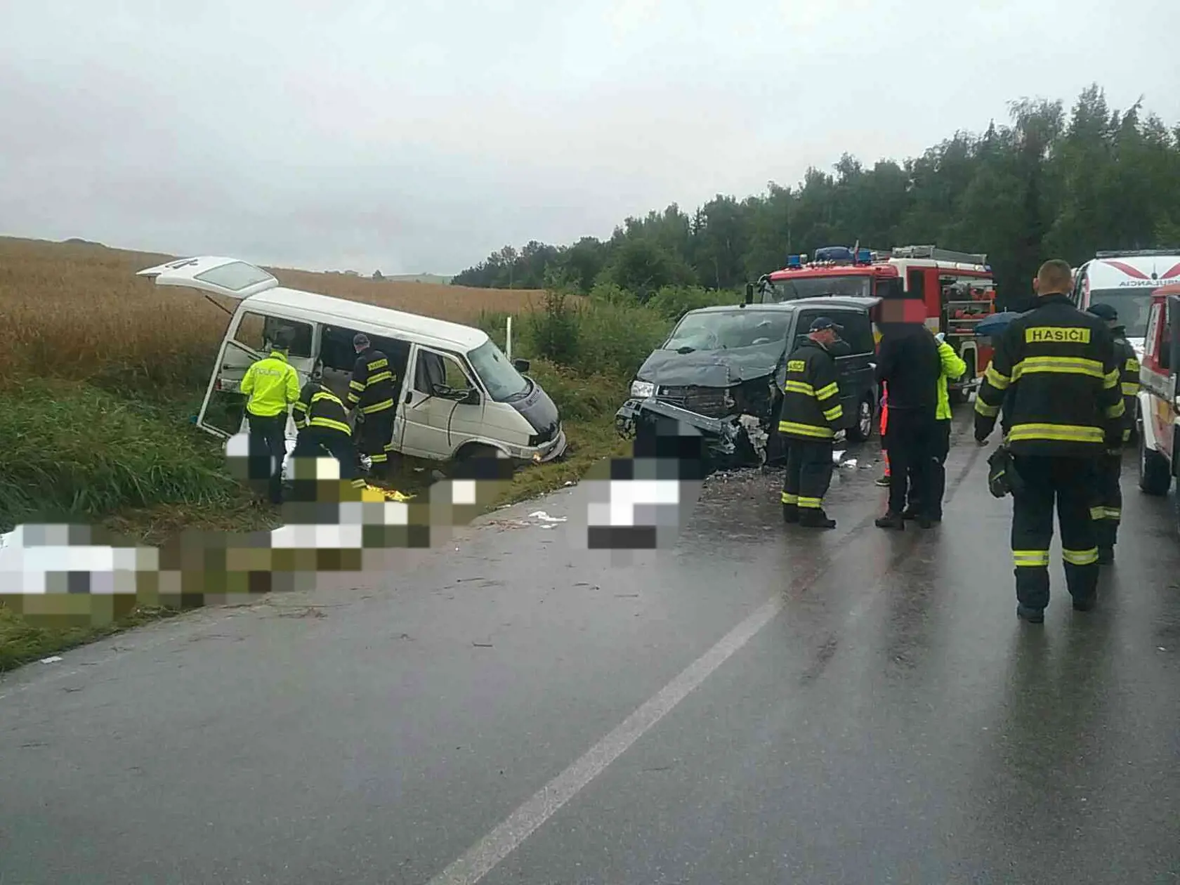 Pri čelnej zrážke dvoch osobných áut na ceste II/584 v katastri Liptovského Trnovca v okrese Liptovský Mikuláš zahynuli v stredu 19. augusta 2020 štyri deti a jedna dospelá osoba. TASR o tom informovala hovorkyňa Krajského riaditeľstva Policajného zboru (KR PZ) v Žiline Jana Balogová. Podľa Zuzany Farkasovej z Prezídia Hasičského a záchranného zboru zasahujú pri nehode hasiči z Liptovského Mikuláša. "Na mieste zasahuje viacero sanitiek ZZS a záchranársky vrtuľník. Cesta je momentálne uzavretá v 