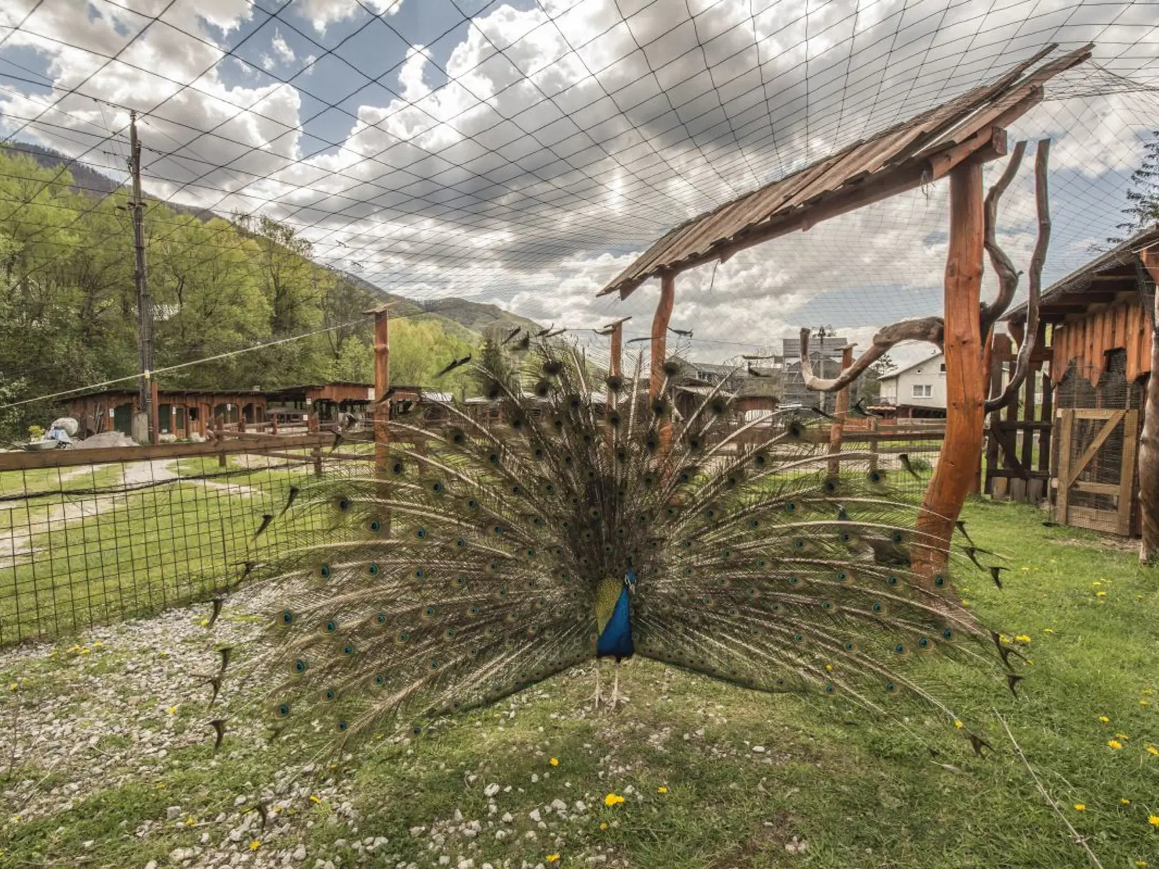 ZOO Malá Fatra v Terchovej