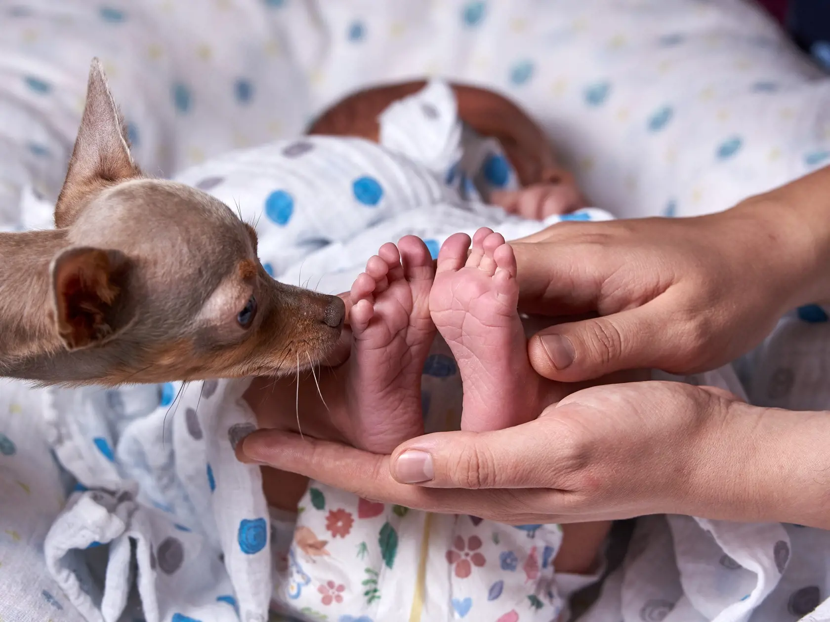 Closeup,Photo,Of,A,Cute,Little,Baby,Feet,With,A