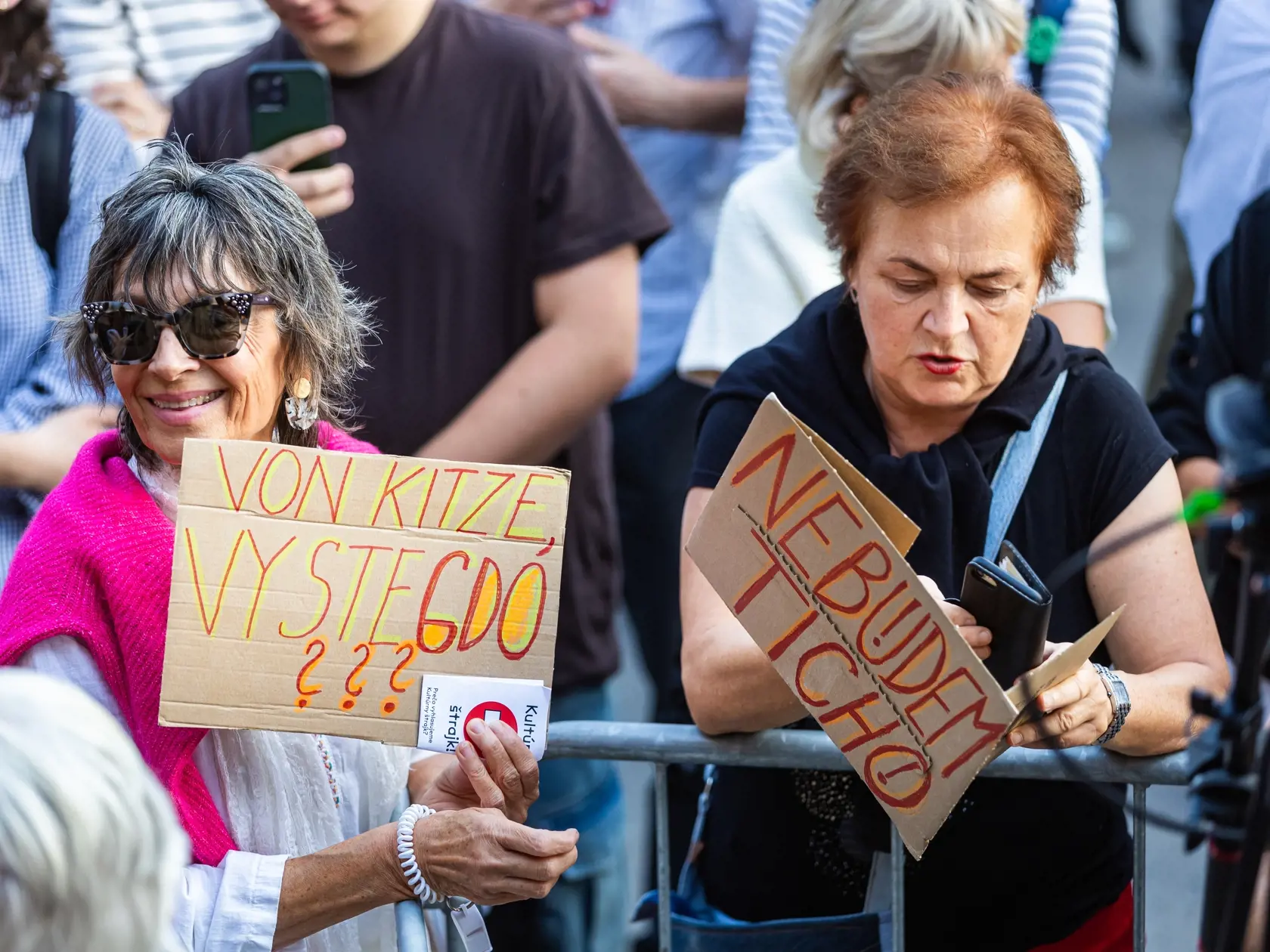 Protest na podporu kultúrneho štrajku: V dave boli občania z každej vekovej kategórie.