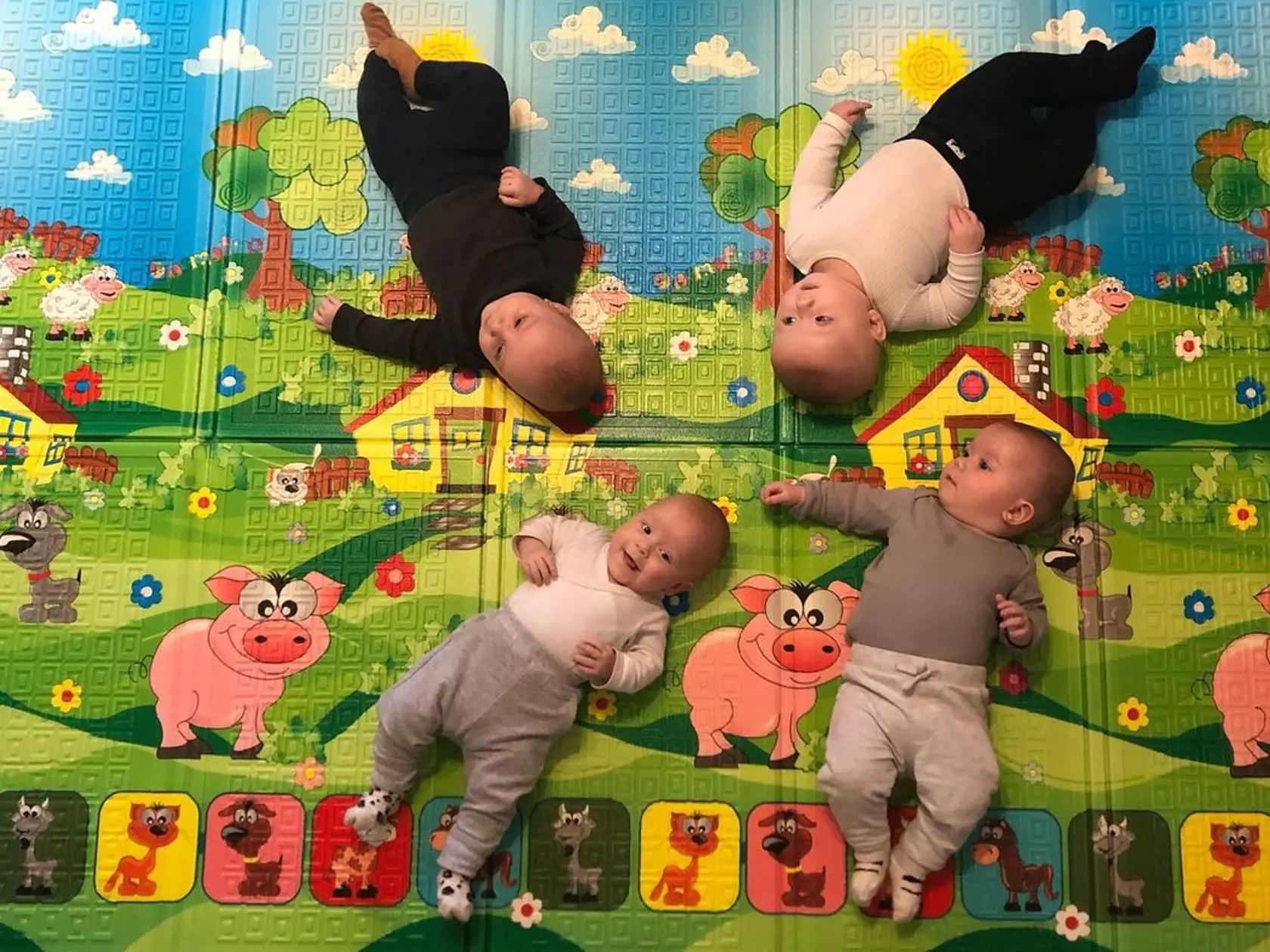 Presne pred rokom sa narodili v Košiciach mamičke od Sabinova štvorčatá: Noemi, Eliška, Hugo a Damián. (archívne foto) Nikola sa okamžite skontaktovala s ich mamou, aby si vymieňali skúsenosti pri výchove.