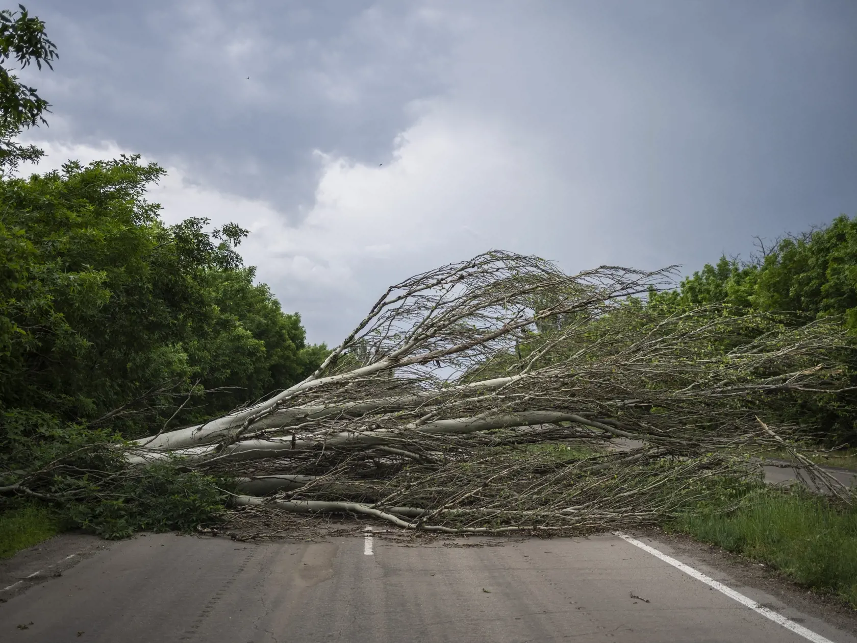 JB 19 Doneck - Spadnutý strom blokuje cestu v Doneckej oblasti na východe Ukrajiny 3. júna 2022, kde prebiehajú ťažké boje. FOTO TASR/AP

A cut tree is placed as a roadblock on the road in the Donetsk oblast region, eastern Ukraine, Friday, June 3, 2022. (AP Photo/Bernat Armangue)