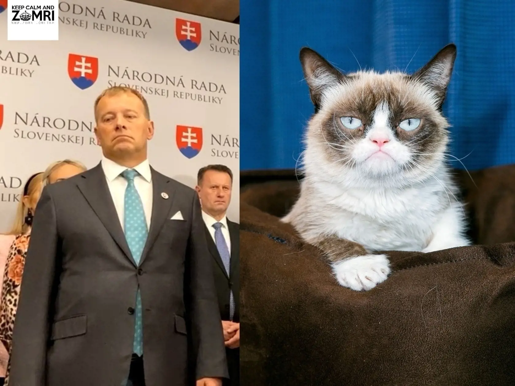 Predsedu parlamentu Borisa Kollára (Sme rodina) na jednomz tlačových konferencií tak naštvali novinárske otázky, že po internete začali kolovať snímky jeho vtipných výrazov tváre. Na tejto snímke memečkárom Kollár pripomínal mačku Grumpy Cat veľkú hviezdu internetu, ktorá sa preslávila svojím zamračeným a ufrflaným výrazom tváre.