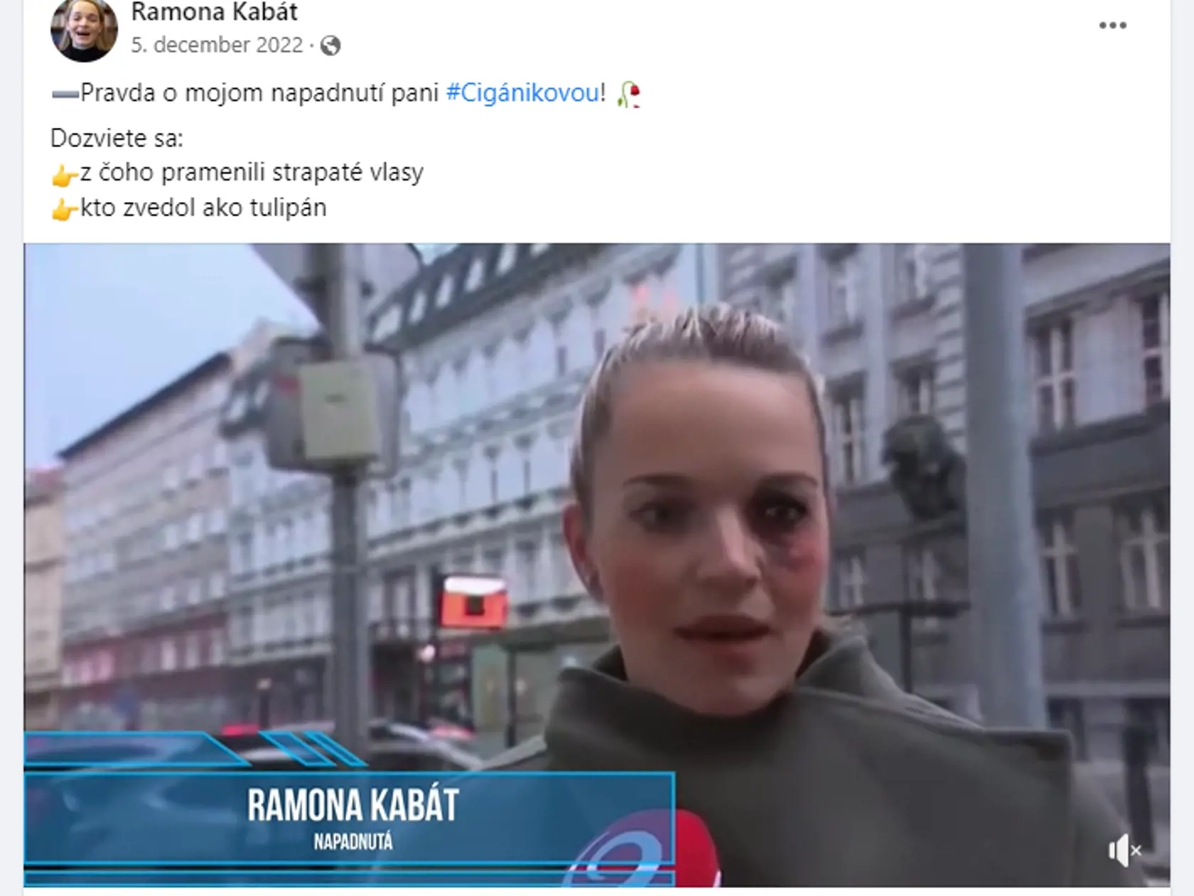Poslankyňa Sme rodiny Romana Tabák (31) je od začiatku svojej politickej kariéry magnetom na trapasy či škandály. Extenistka sa aktuálne stala terčom vtipom na novej satirickej stránke RAMONA KABÁT, ktorá sa objavila na sociálnej sieti.